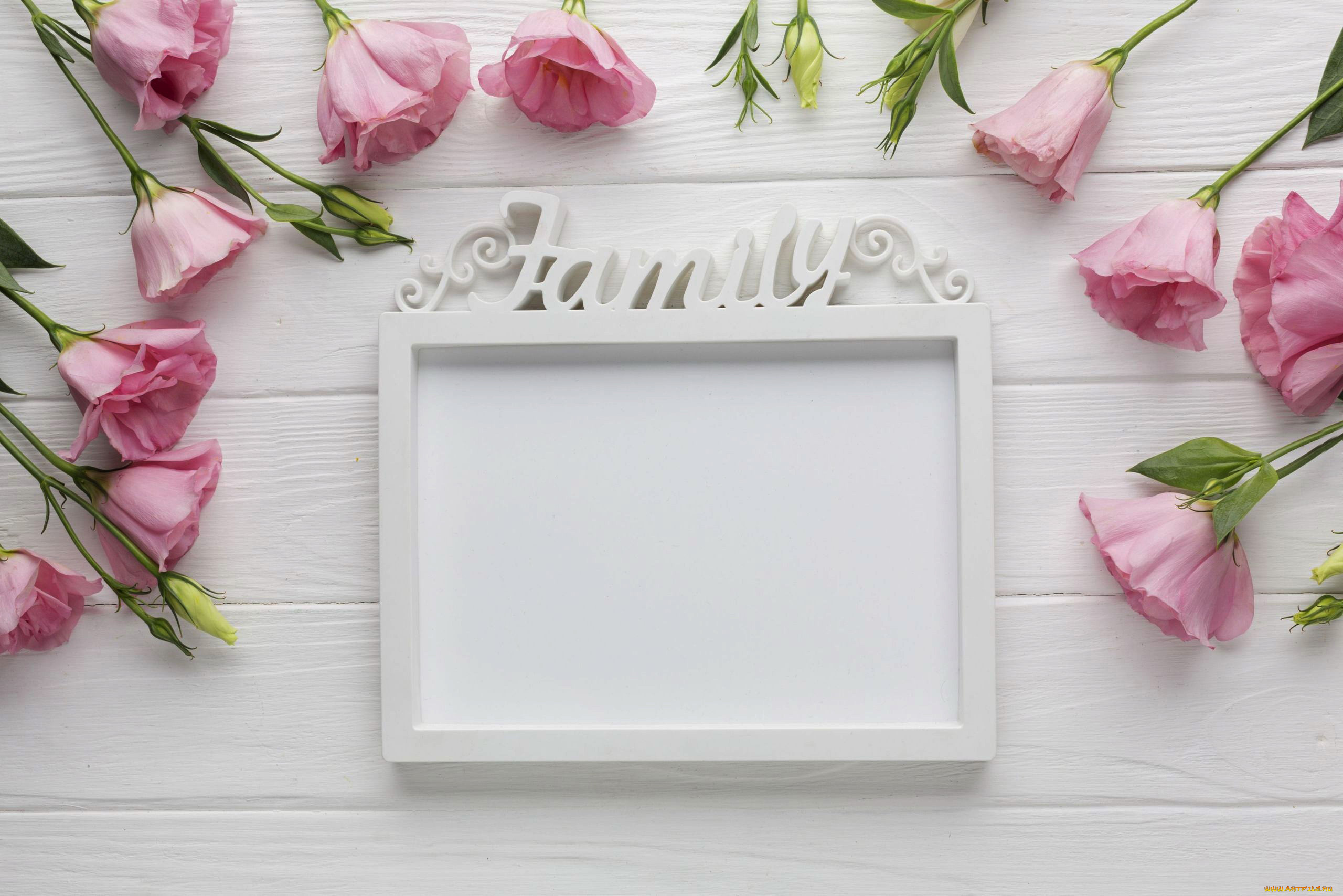 цветы, эустома, надпись, рамка