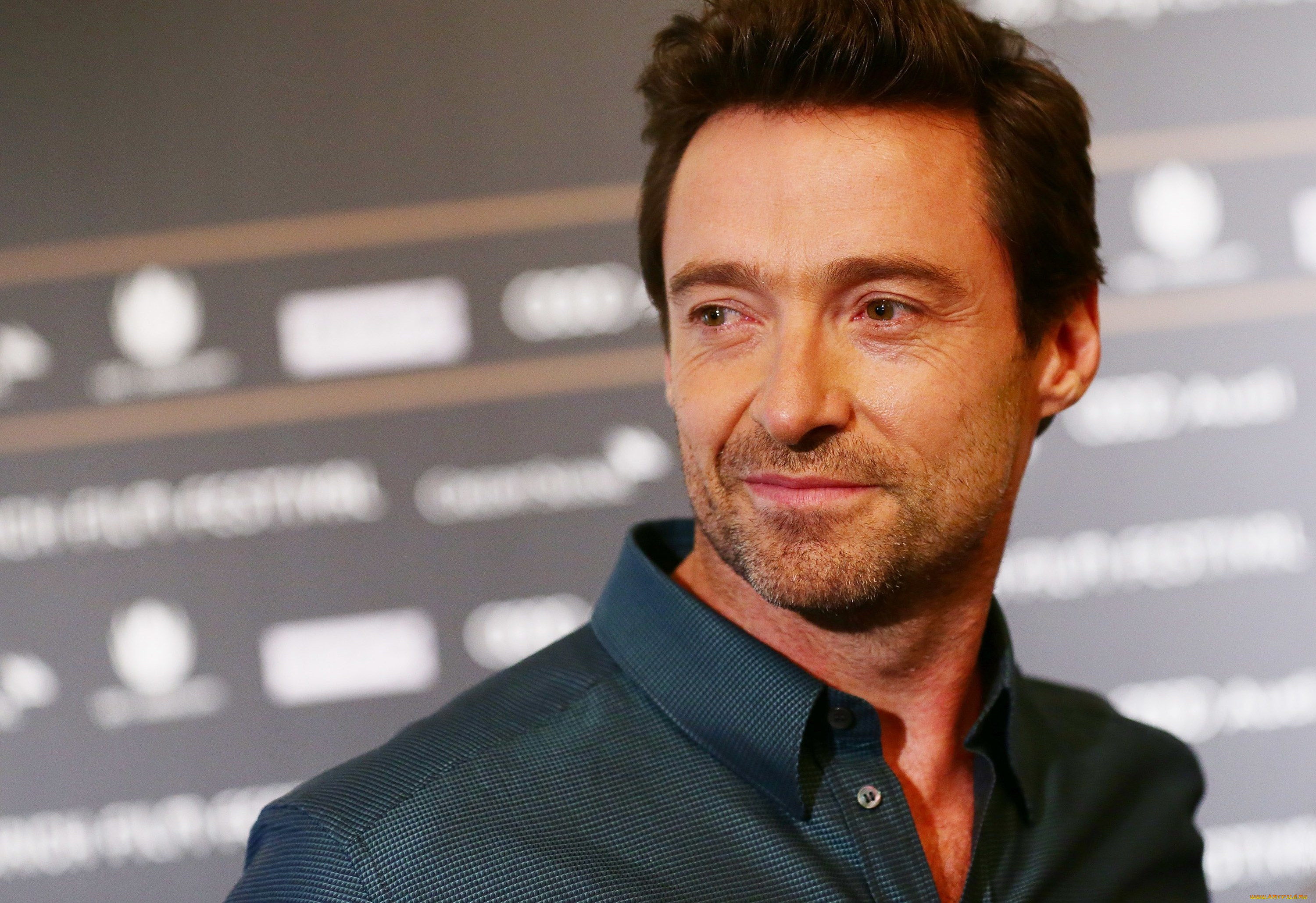 мужчины, hugh, jackman, рубашка, лицо, актер, щетина