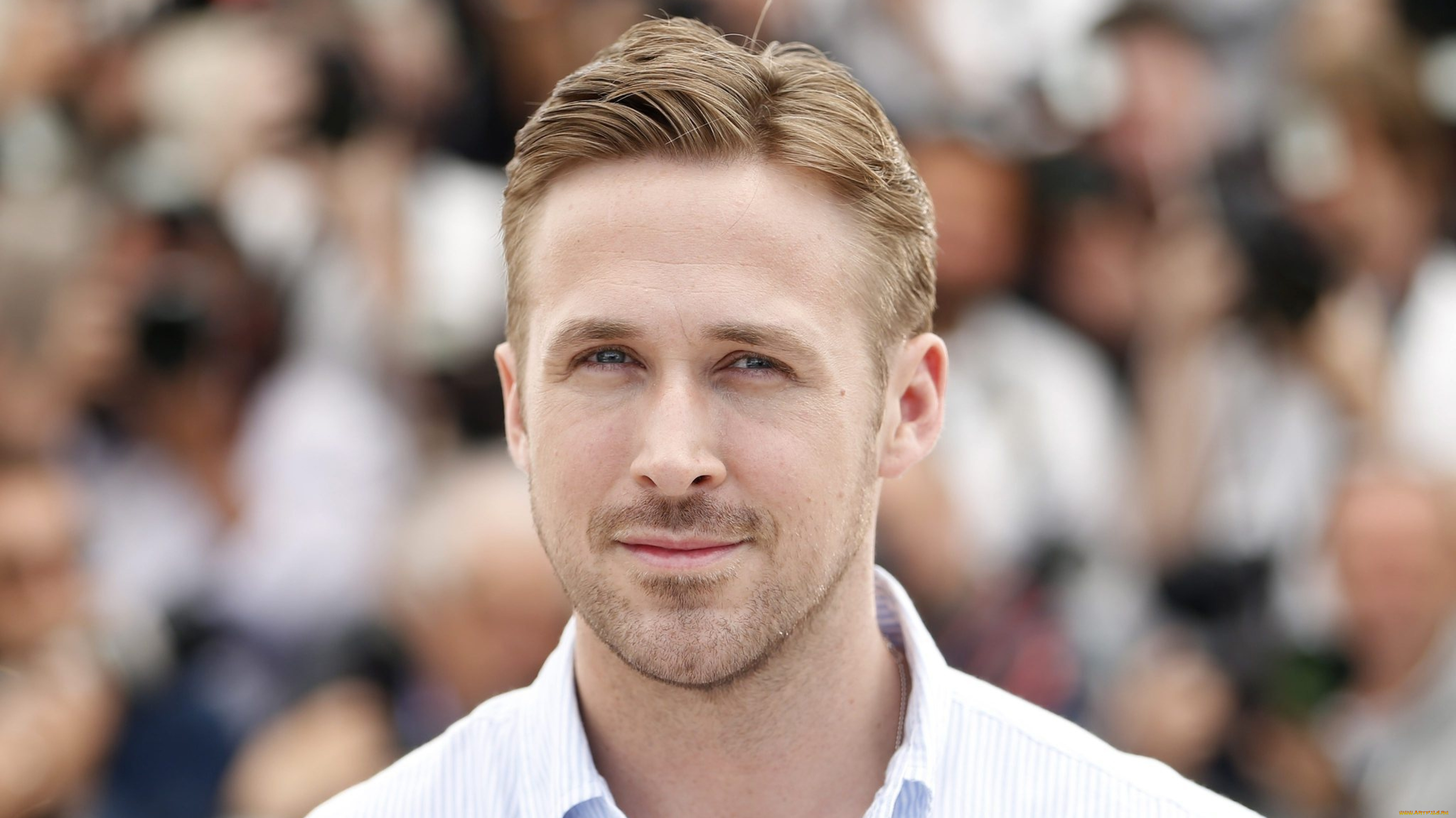 мужчины, ryan, gosling, лицо, блондин, актер