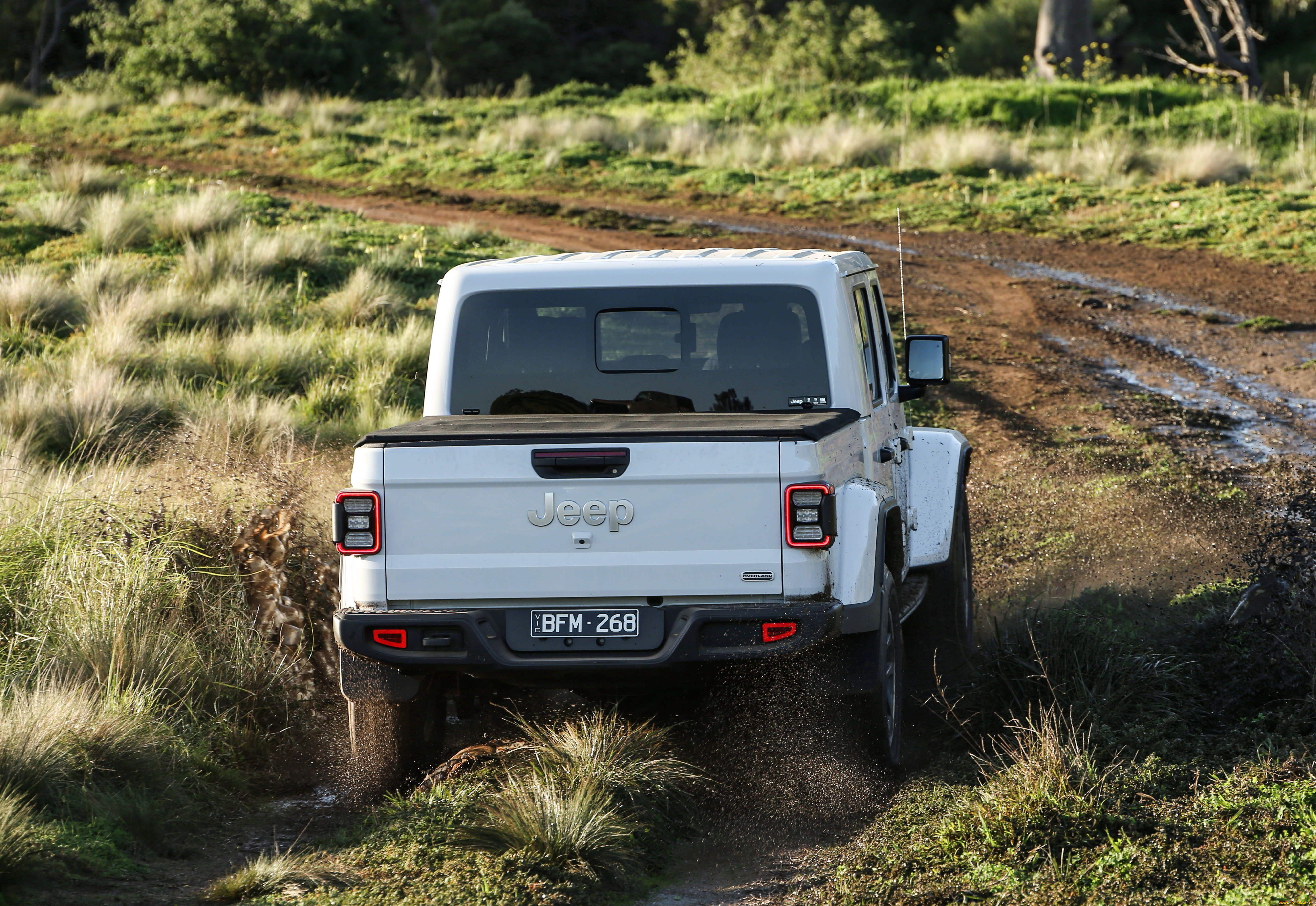 автомобили, jeep, gladiator, overland, 2020, вид, сзади, грязь, джип