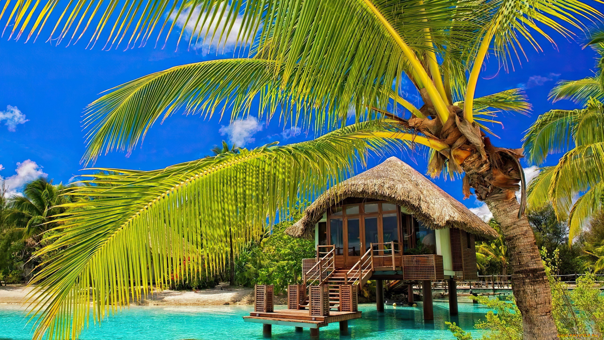 bora, bora, villa, города, -, здания, , дома, bora, villa