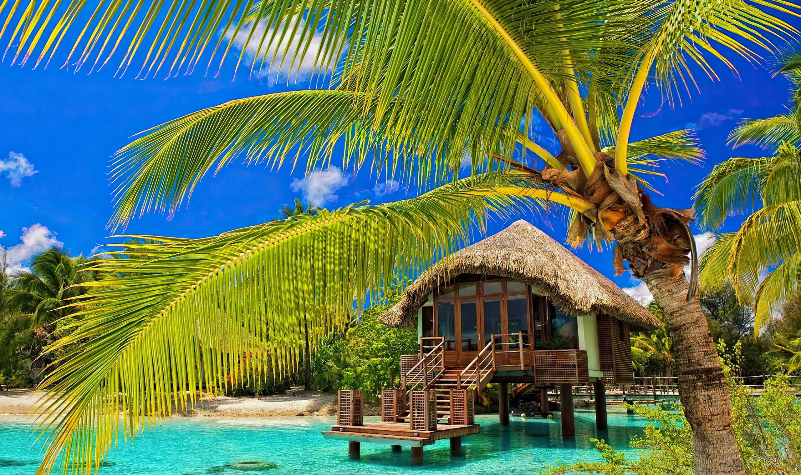 bora, bora, villa, города, -, здания, , дома, bora, villa