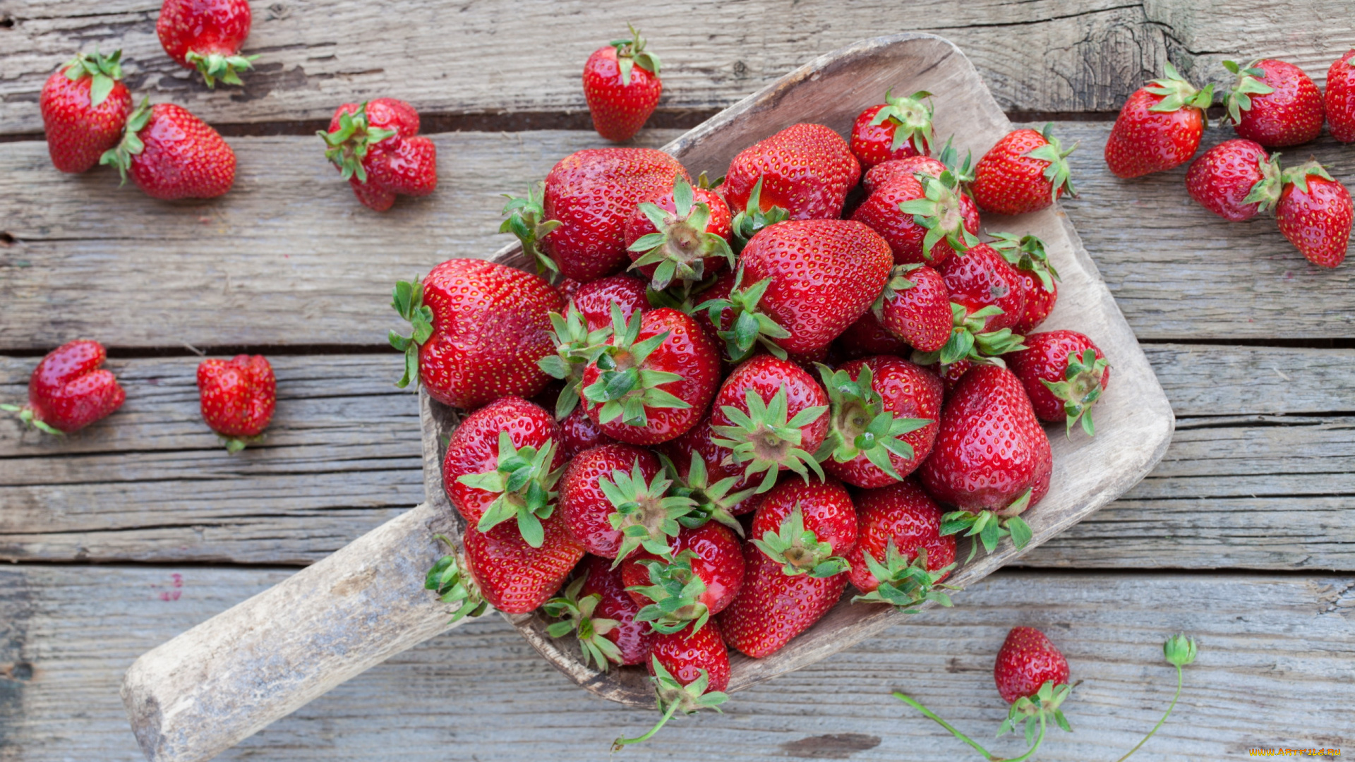 еда, клубника, , земляника, ягоды, много