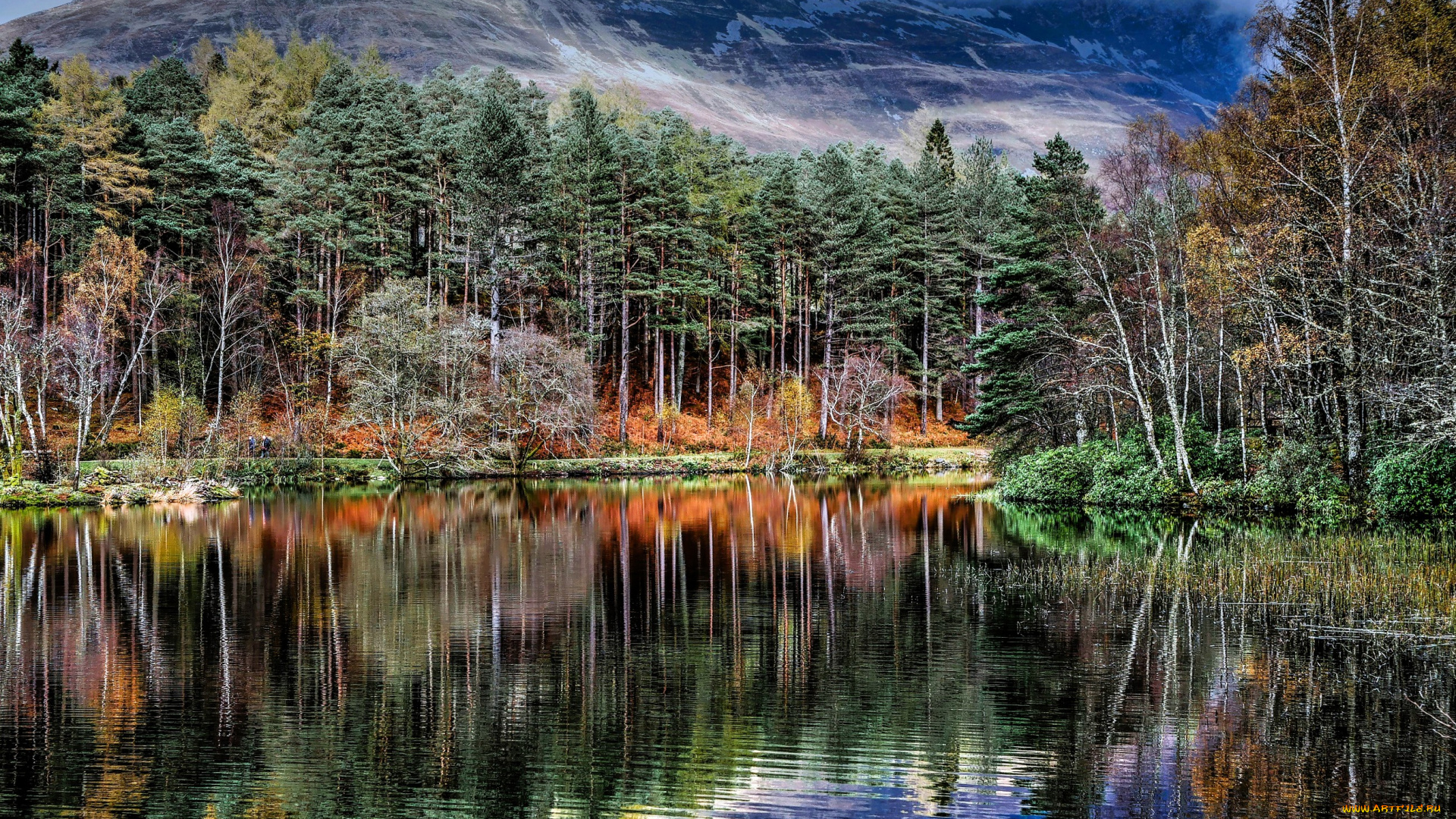 природа, реки, озера, горы, лес, осень, озеро