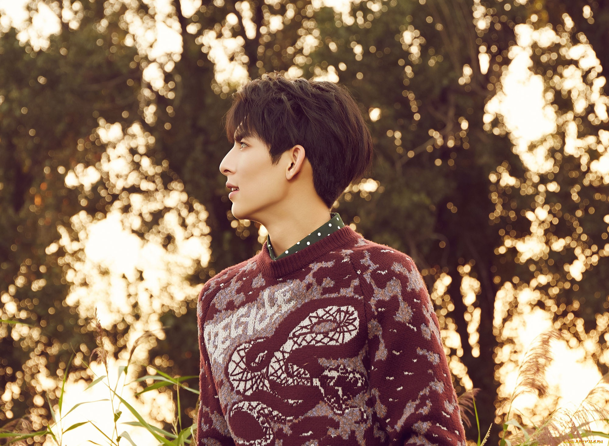 мужчины, wang, hao, xuan, ван, хао, сюань