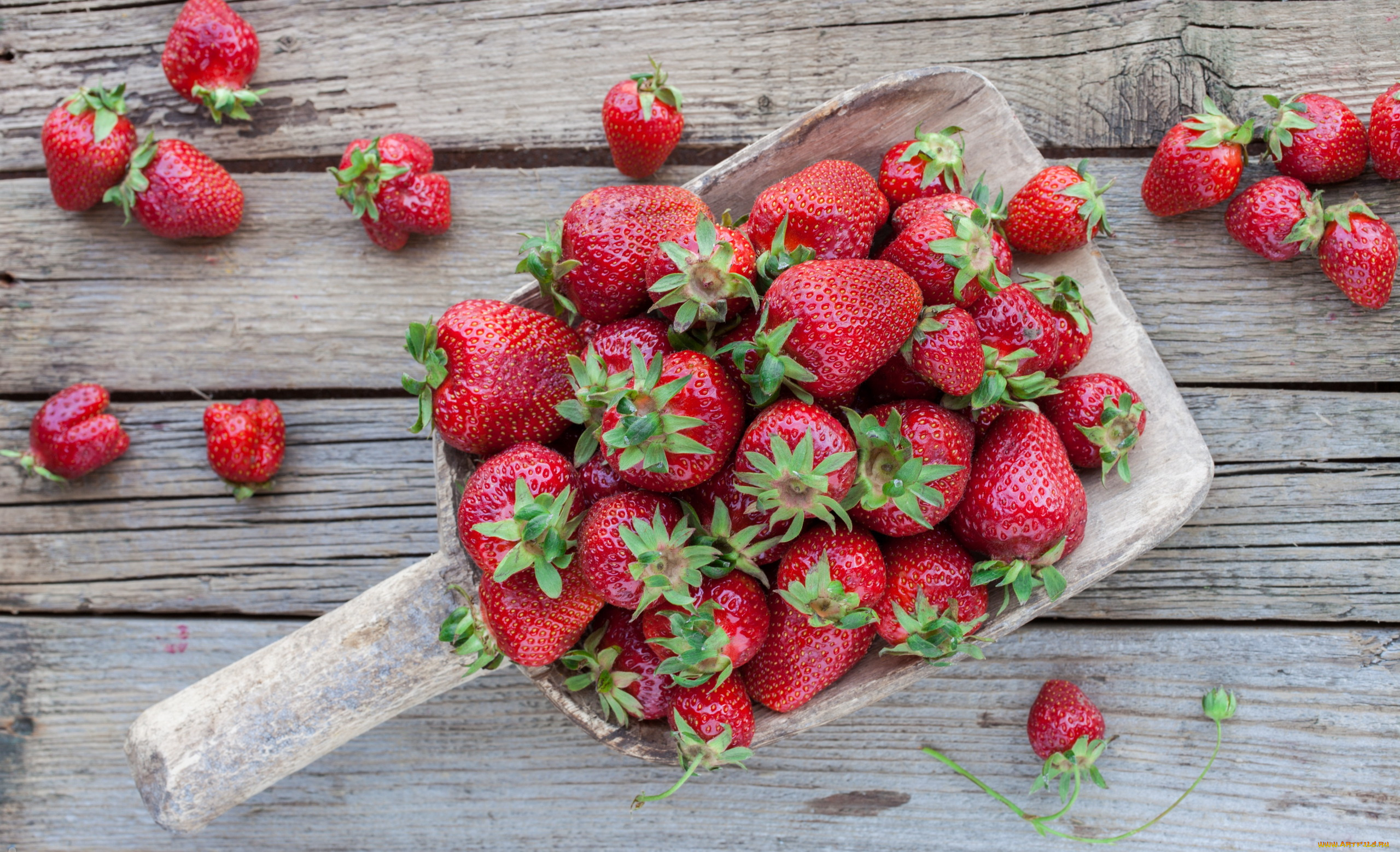 еда, клубника, , земляника, ягоды, много