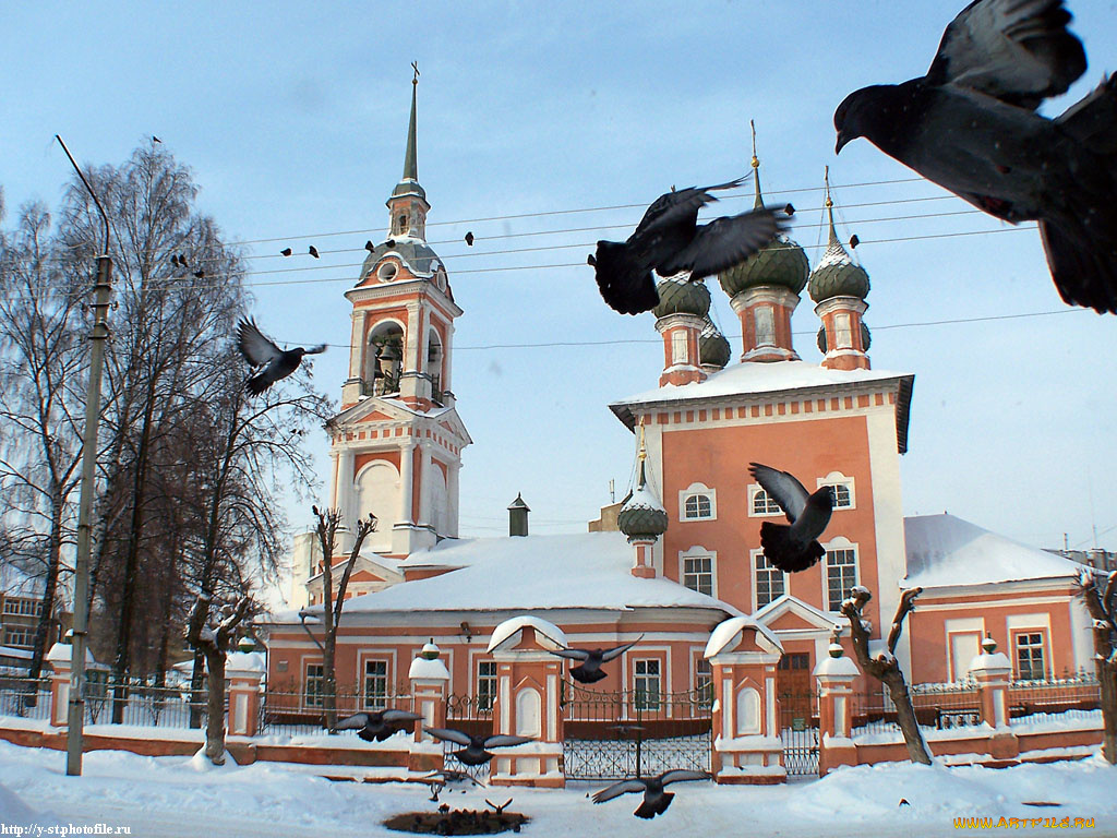 кострома, церковь, иоанна, златоуста, города