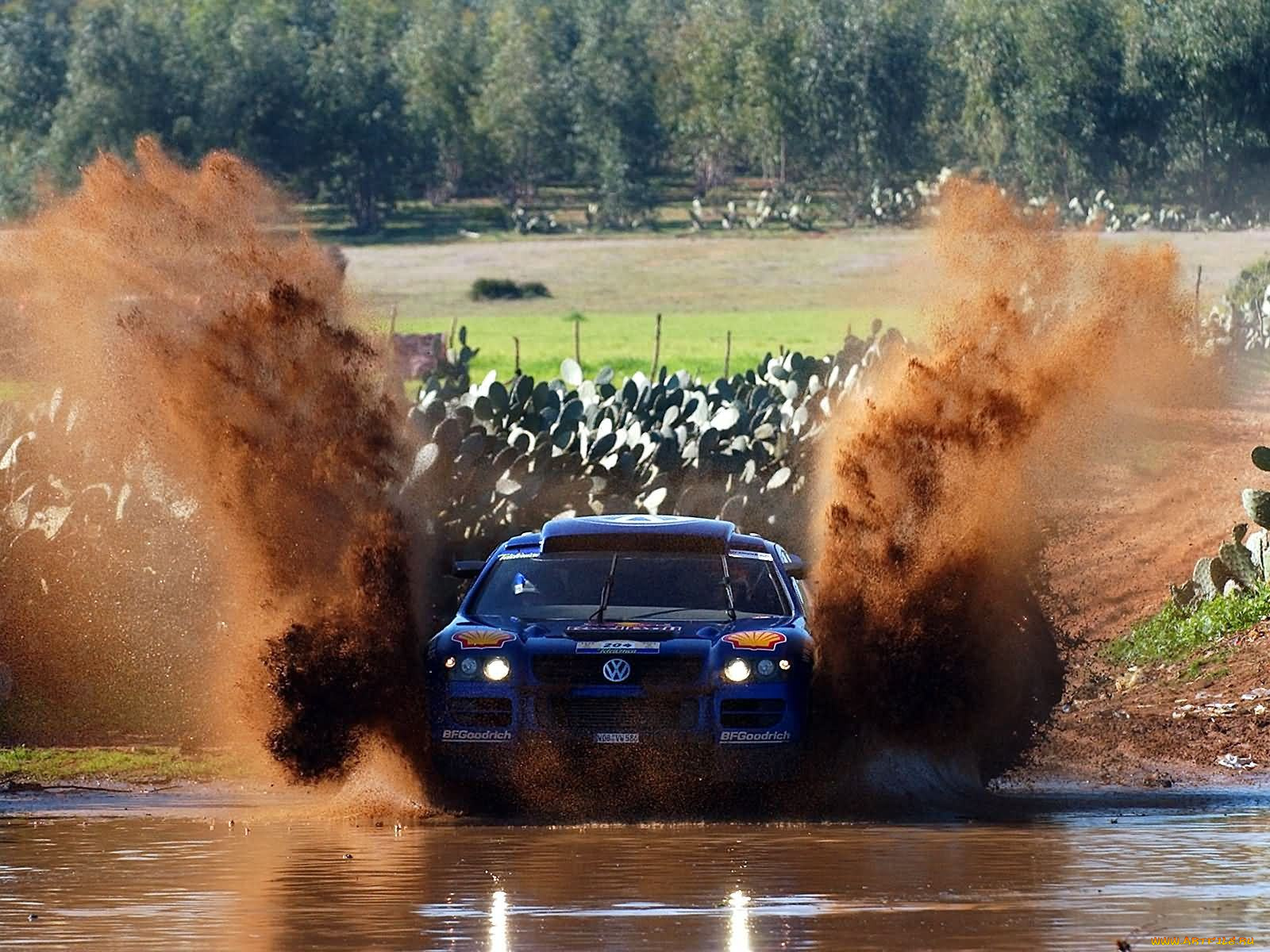 спорт, авторалли