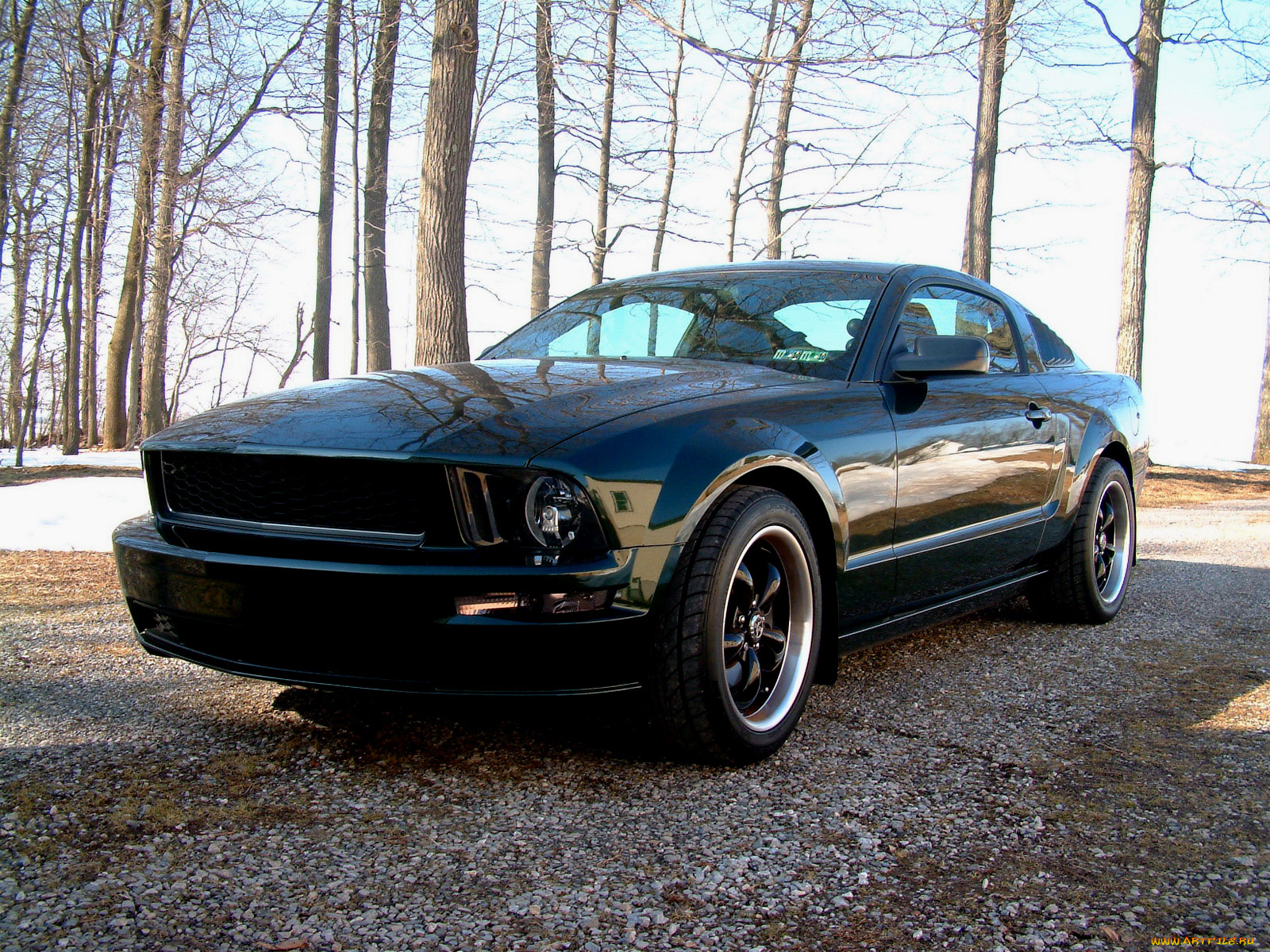 автомобили, mustang