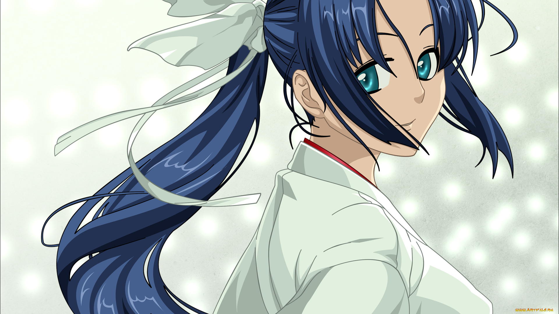 full, metal, daemon, muramasa, аниме