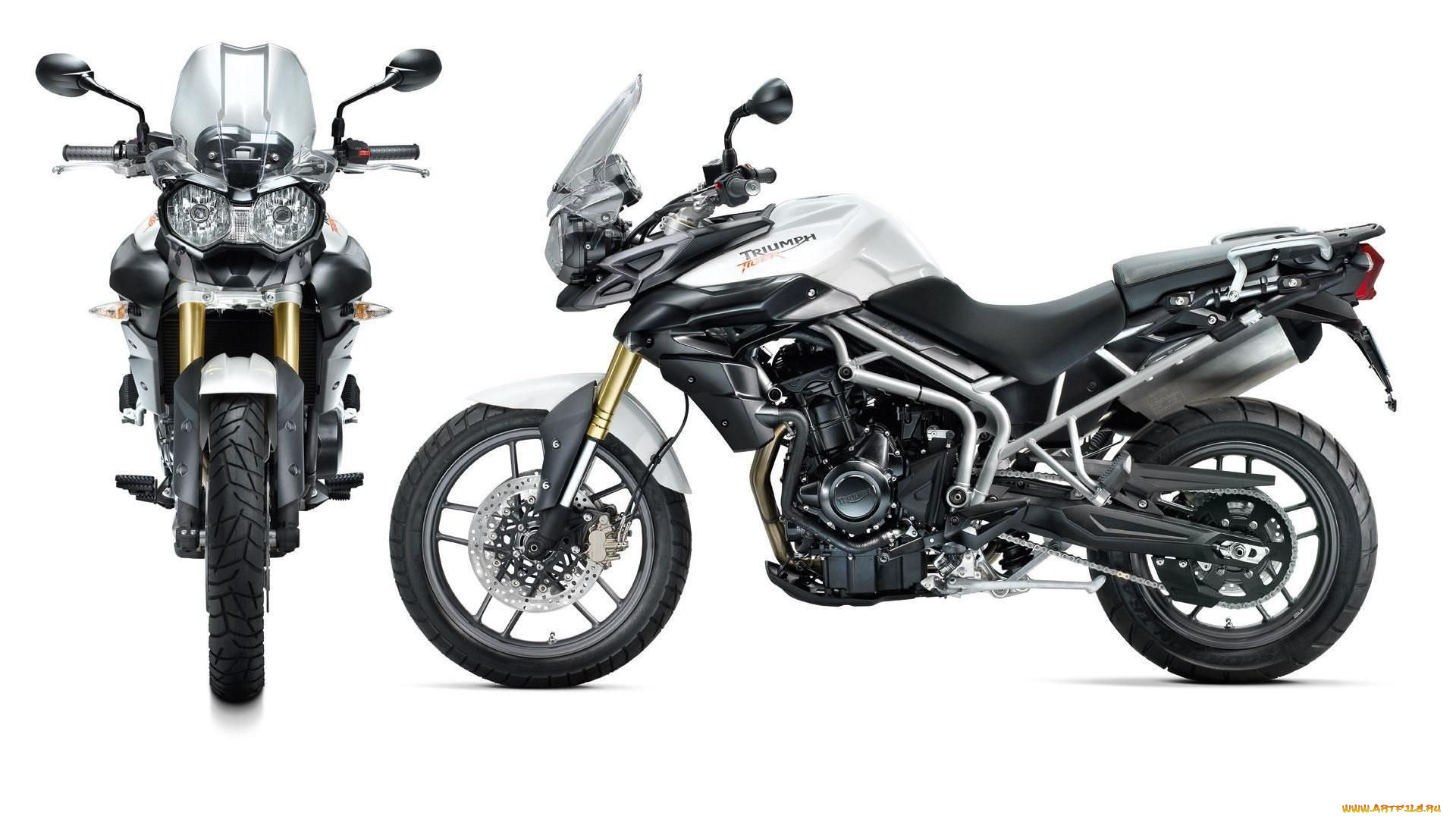 мотоциклы, triumph