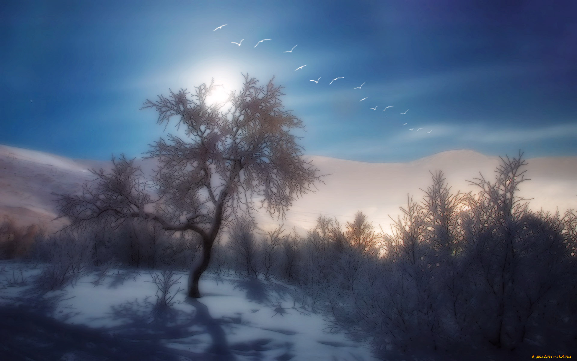 разное, компьютерный, дизайн