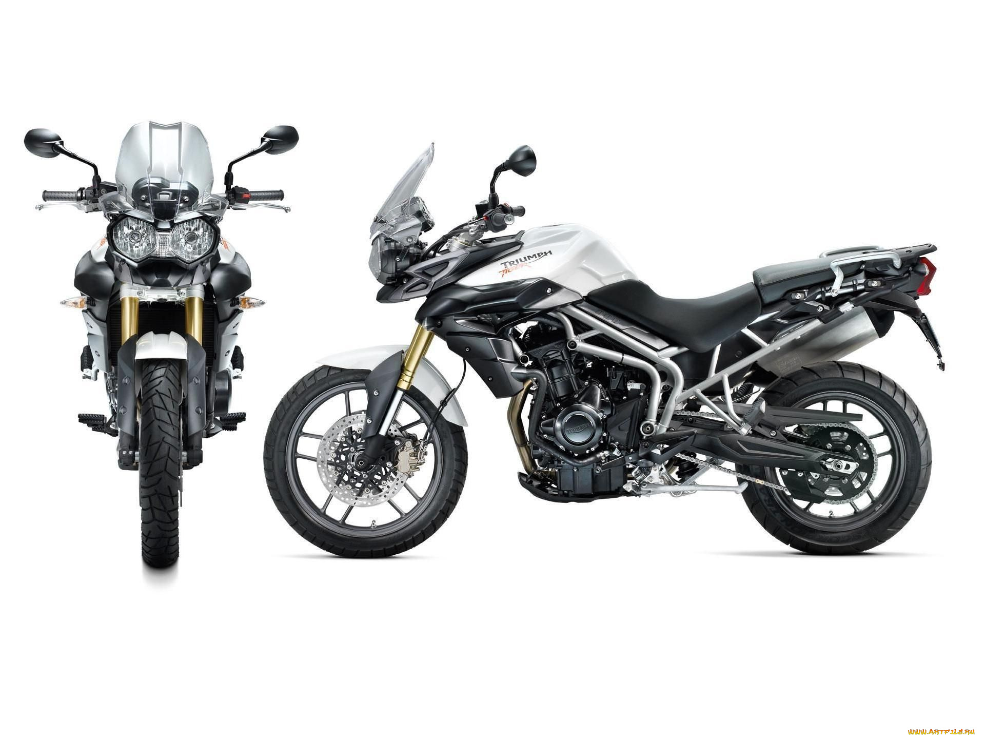 мотоциклы, triumph