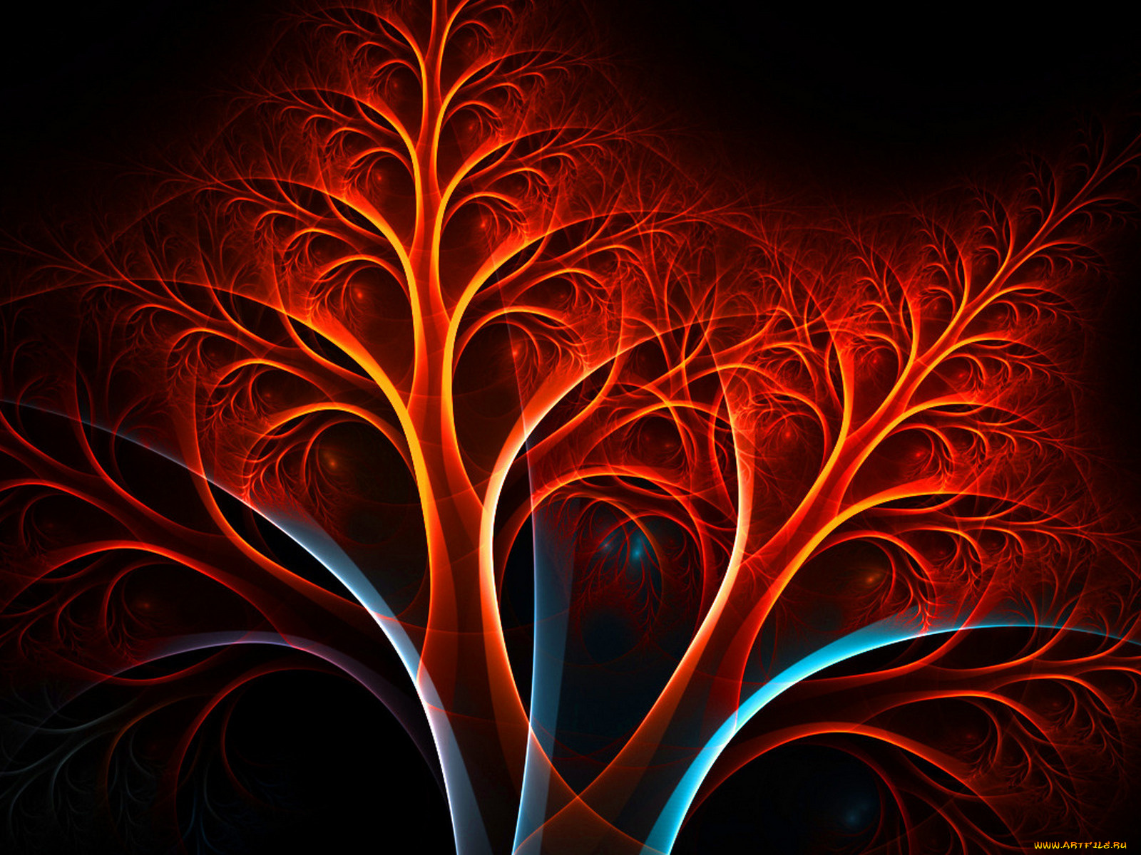 3д, графика, fractal, фракталы, абстракция, узор