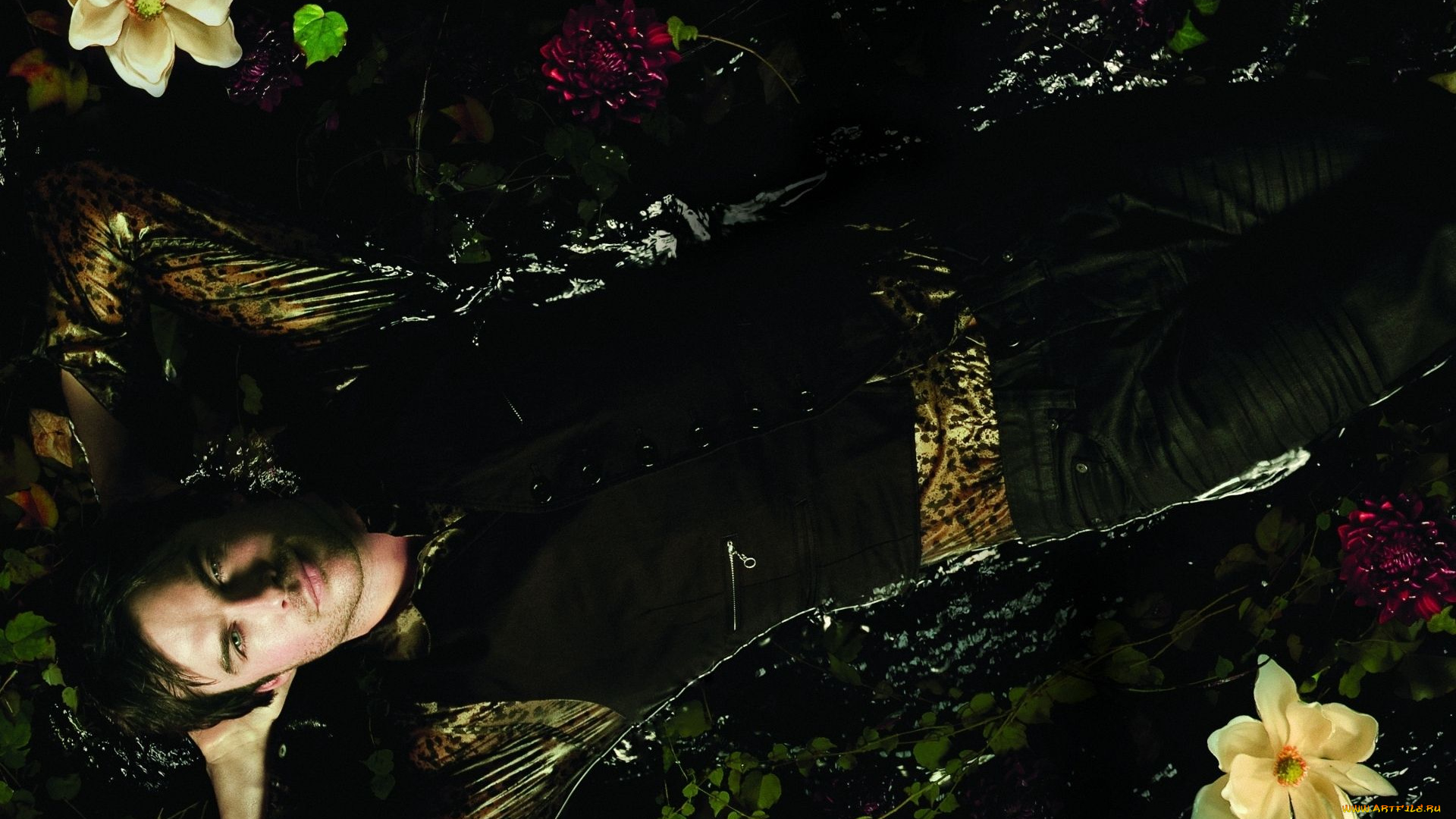 the, vampire, diaries, кино, фильмы, ian, somerhalder