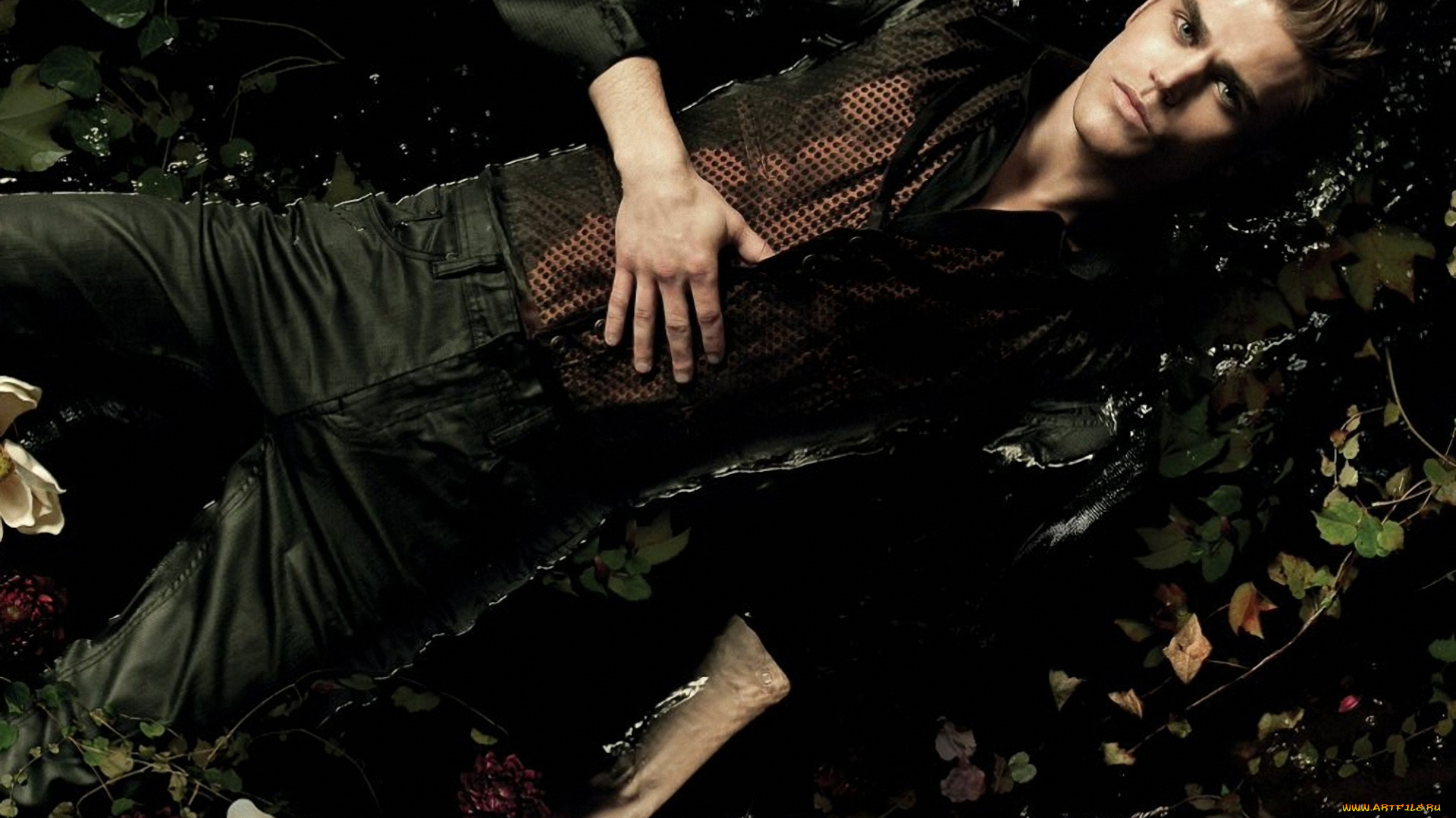 the, vampire, diaries, кино, фильмы, paul, wesley