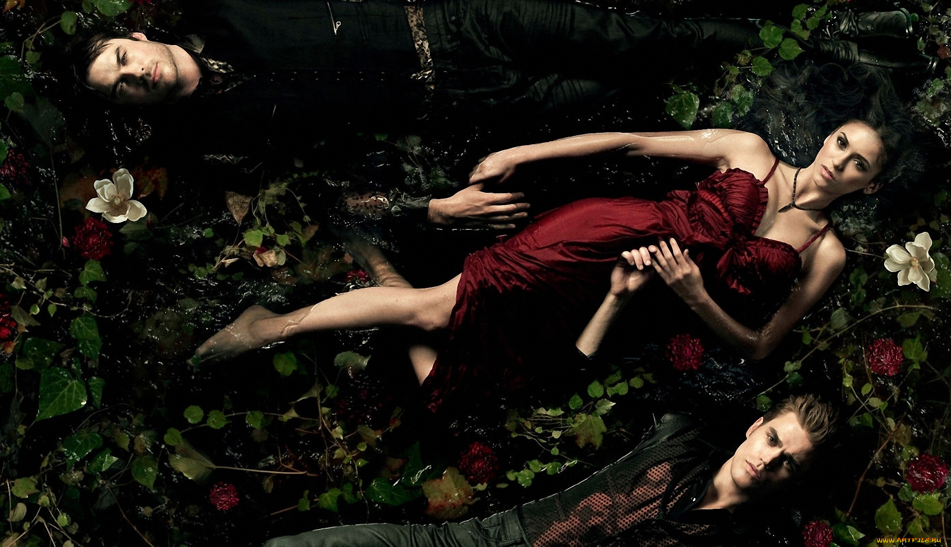 the, vampire, diaries, кино, фильмы, ian, somerhalder, nina, dobrev, paul, wesley