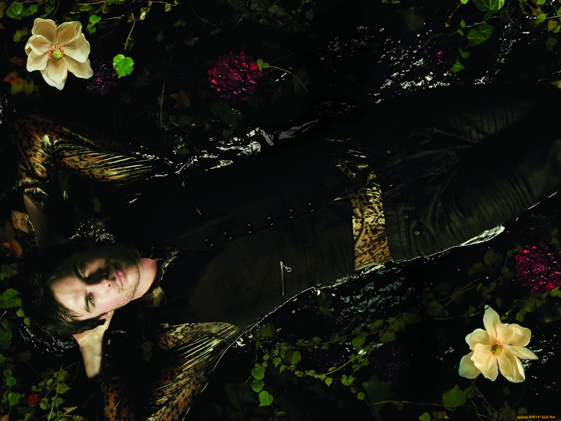 the, vampire, diaries, кино, фильмы, ian, somerhalder