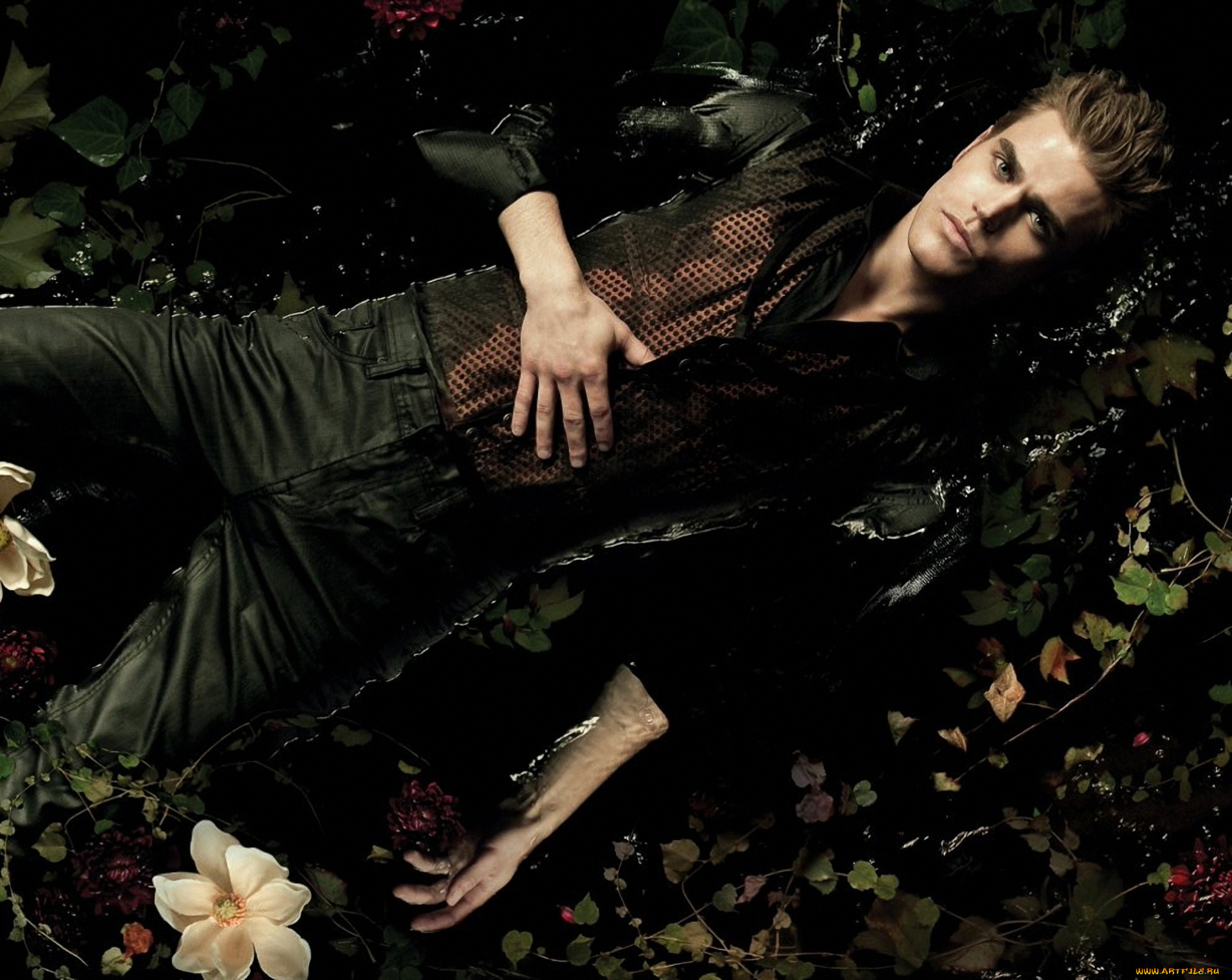 the, vampire, diaries, кино, фильмы, paul, wesley