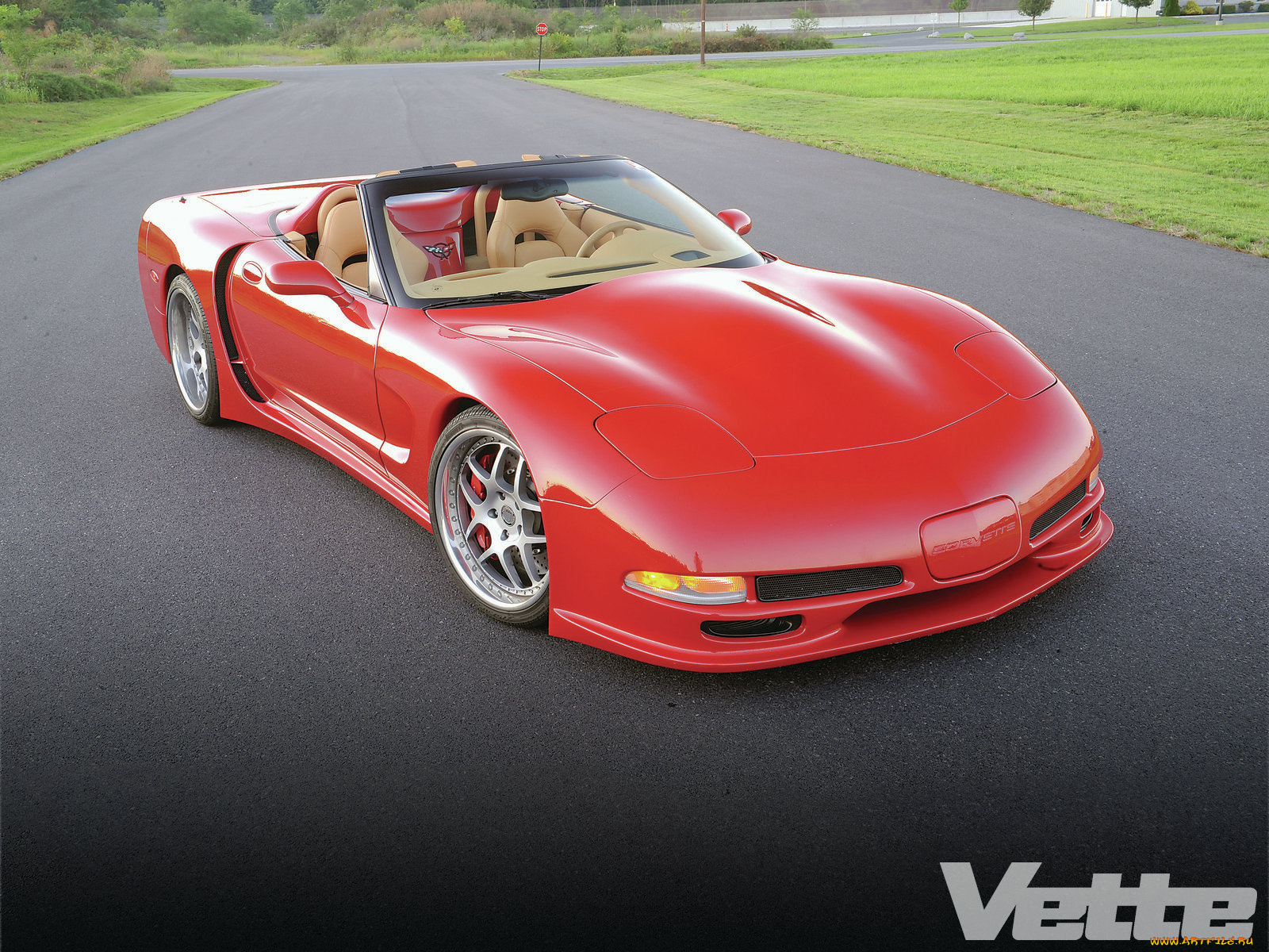 автомобили, corvette, sting