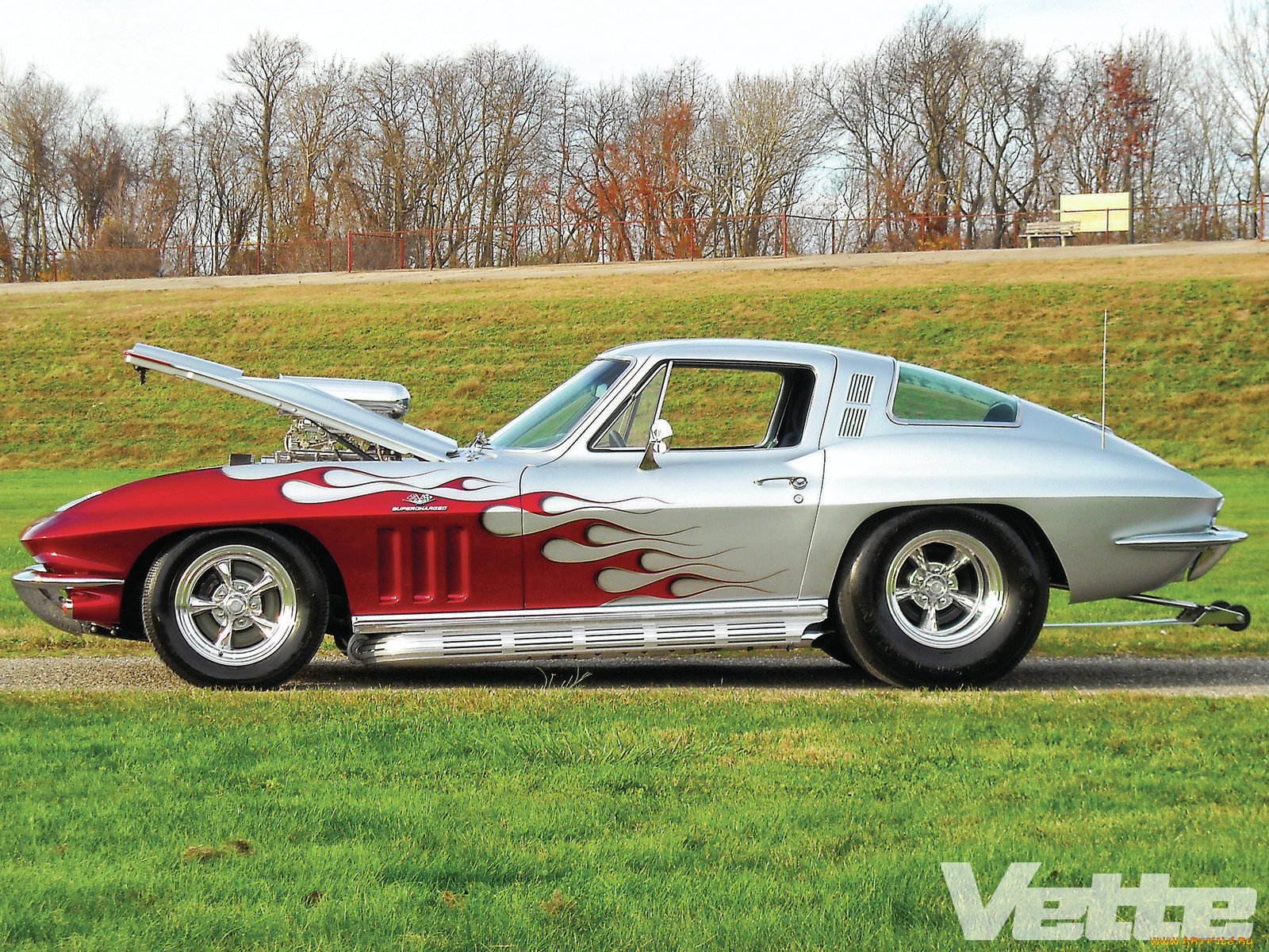 автомобили, corvette, sting