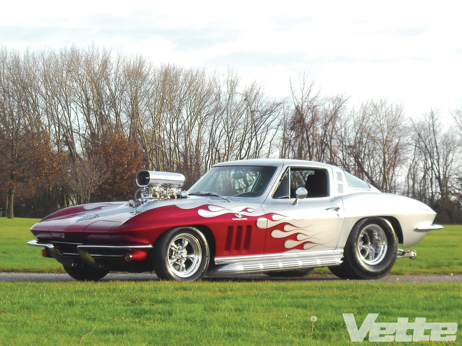 автомобили, corvette, sting