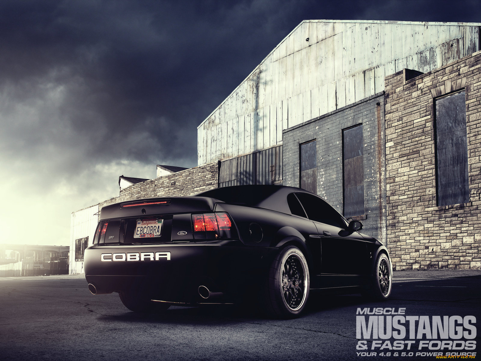 автомобили, mustang