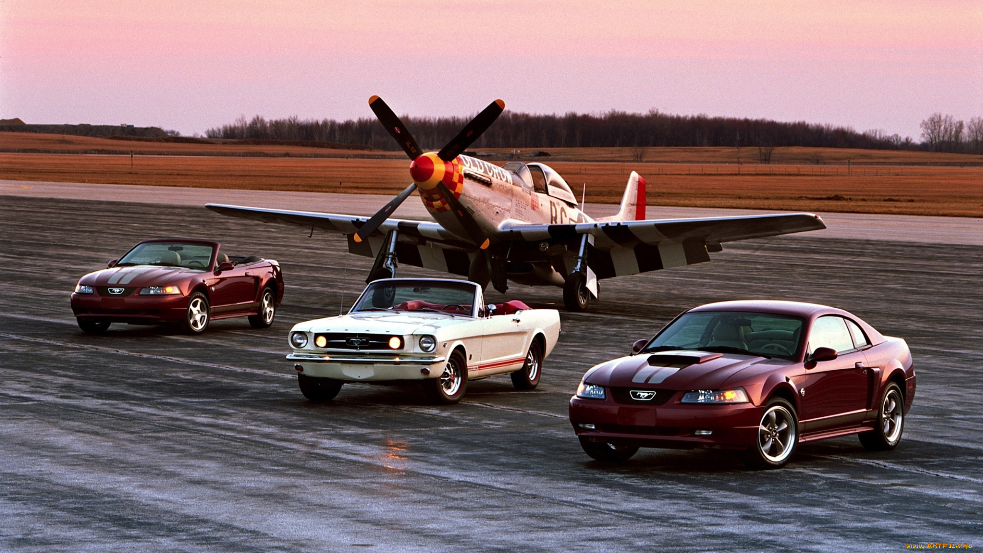 автомобили, mustang