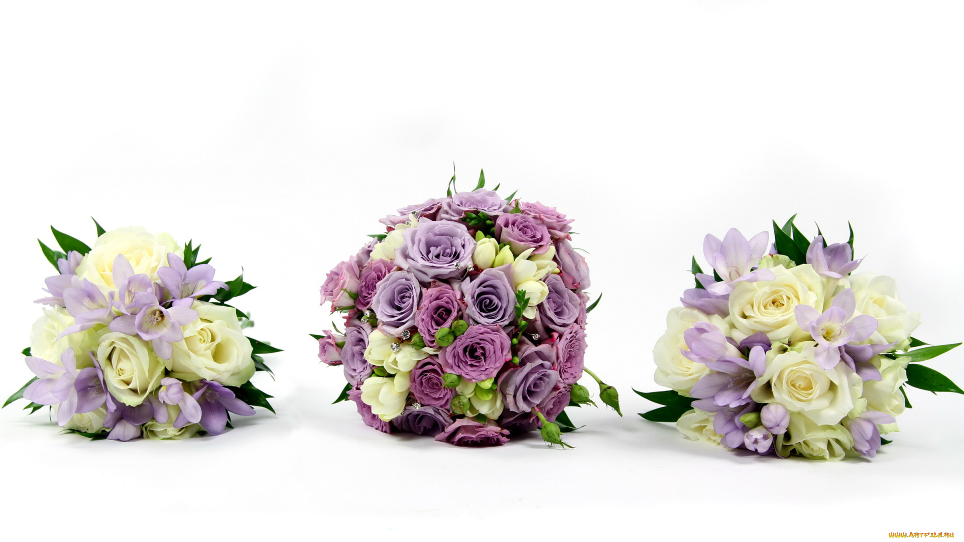 цветы, букеты, композиции, розы