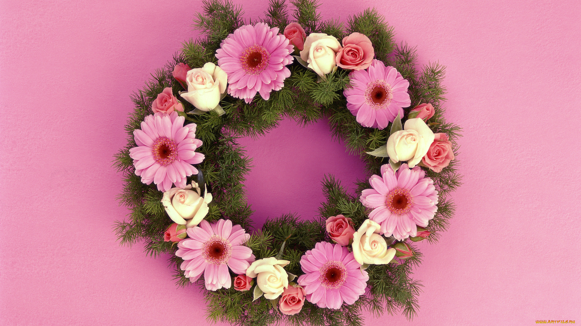 цветы, букеты, композиции, венок, ель