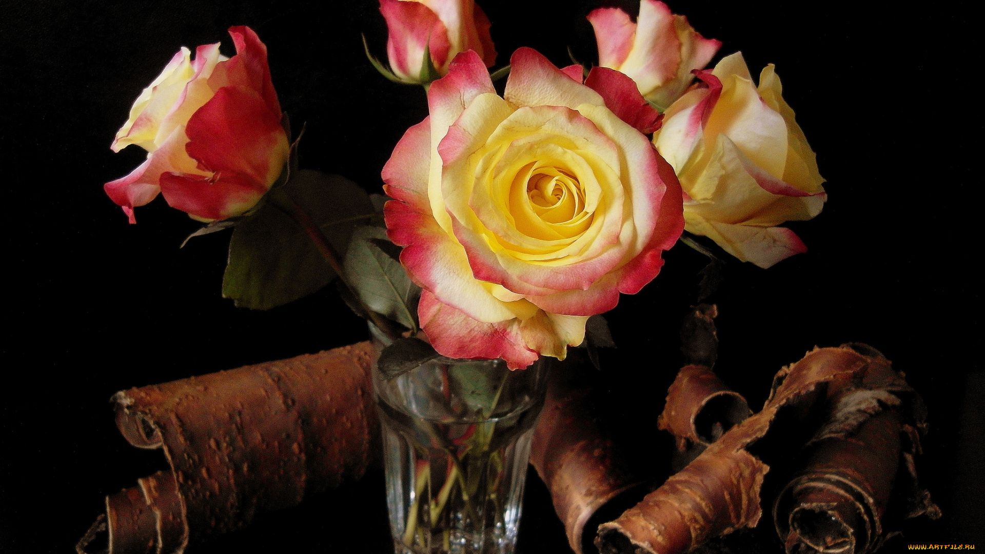 цветы, розы, кора, букет, пестрый