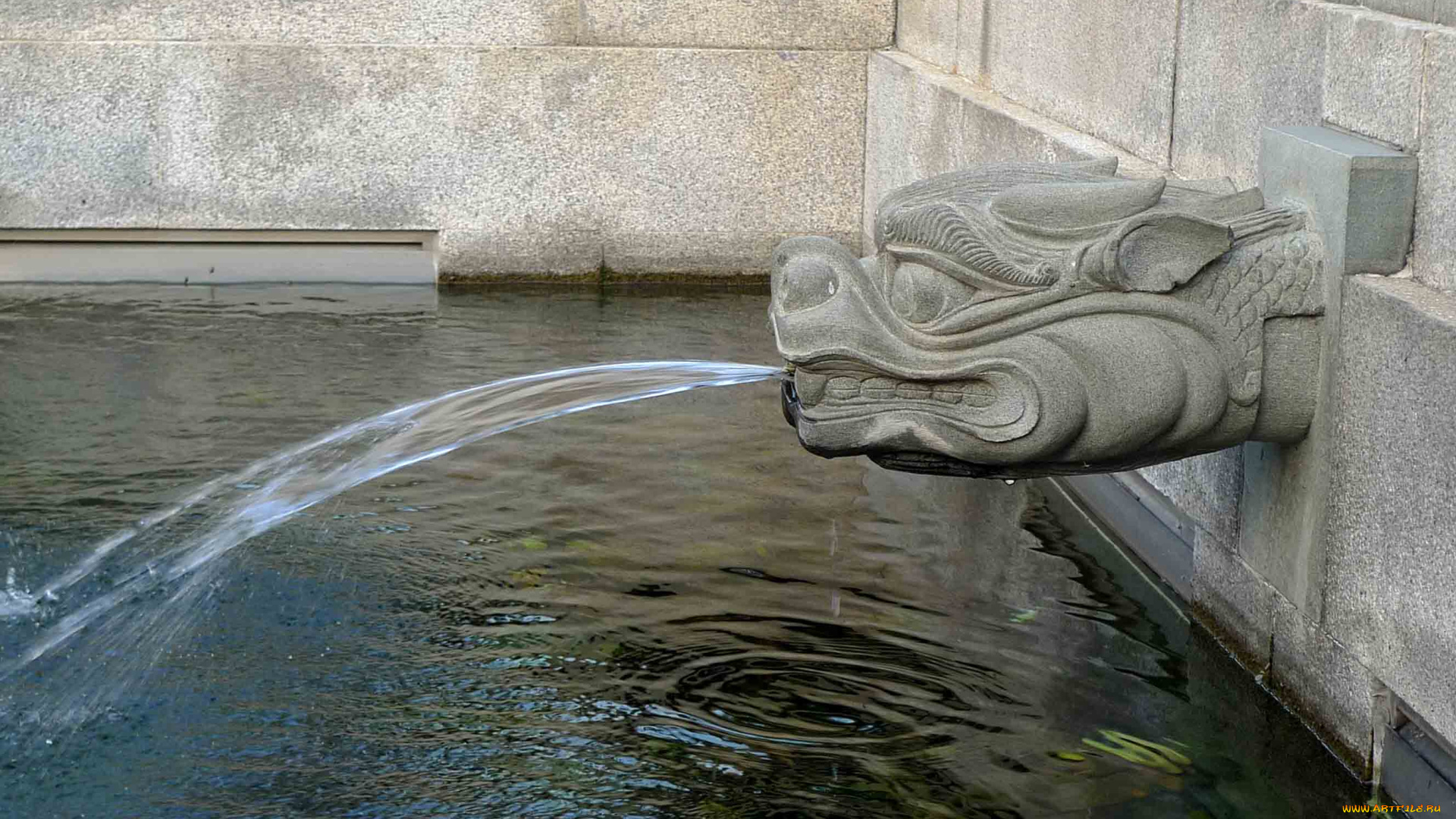 города, фонтаны, дракон, вода