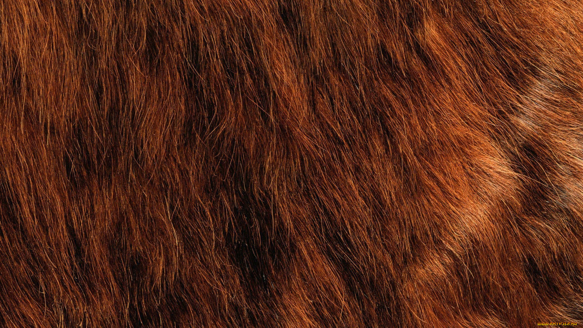 разное, текстуры, мех, текстура