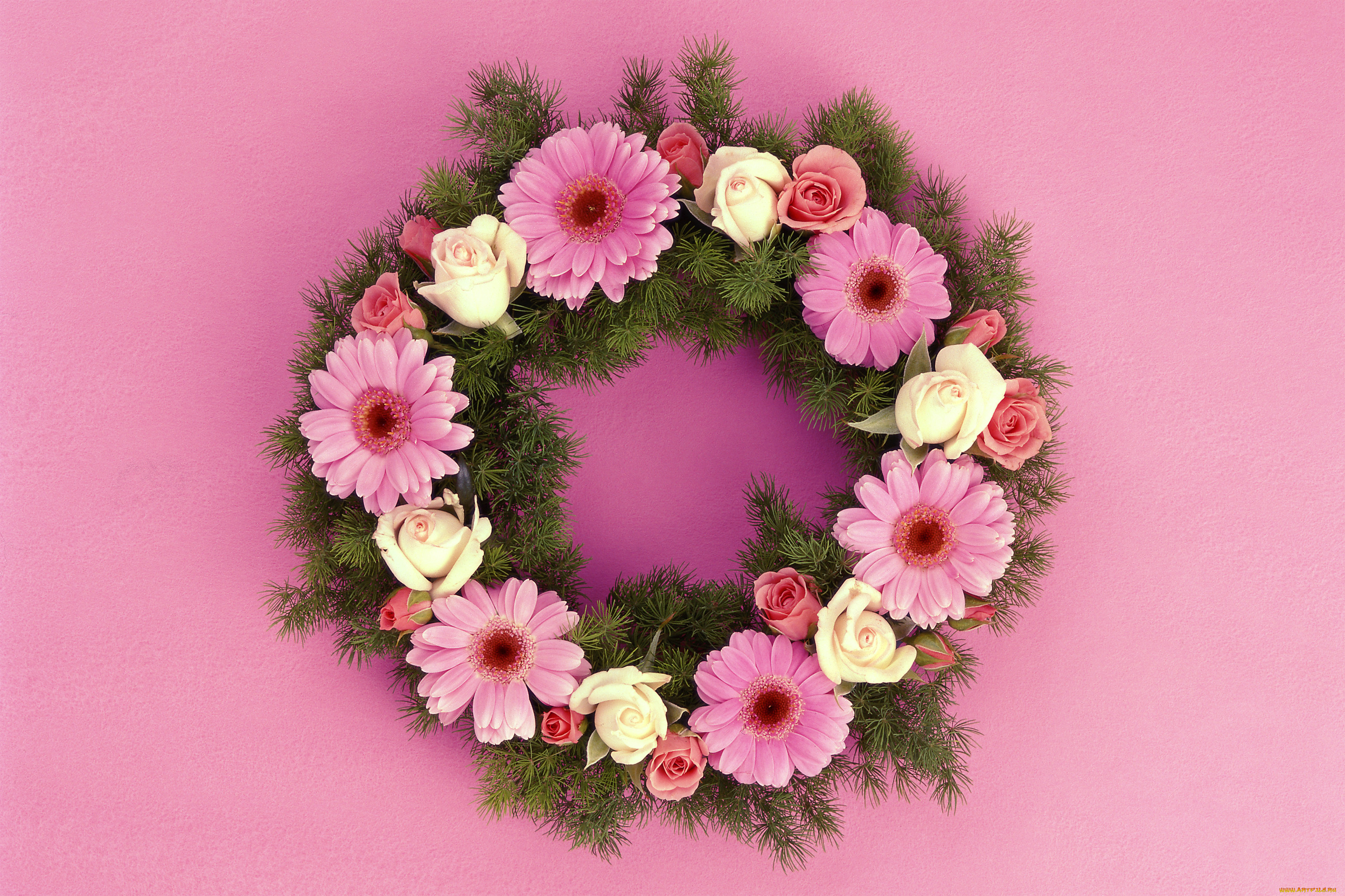 цветы, букеты, композиции, венок, ель