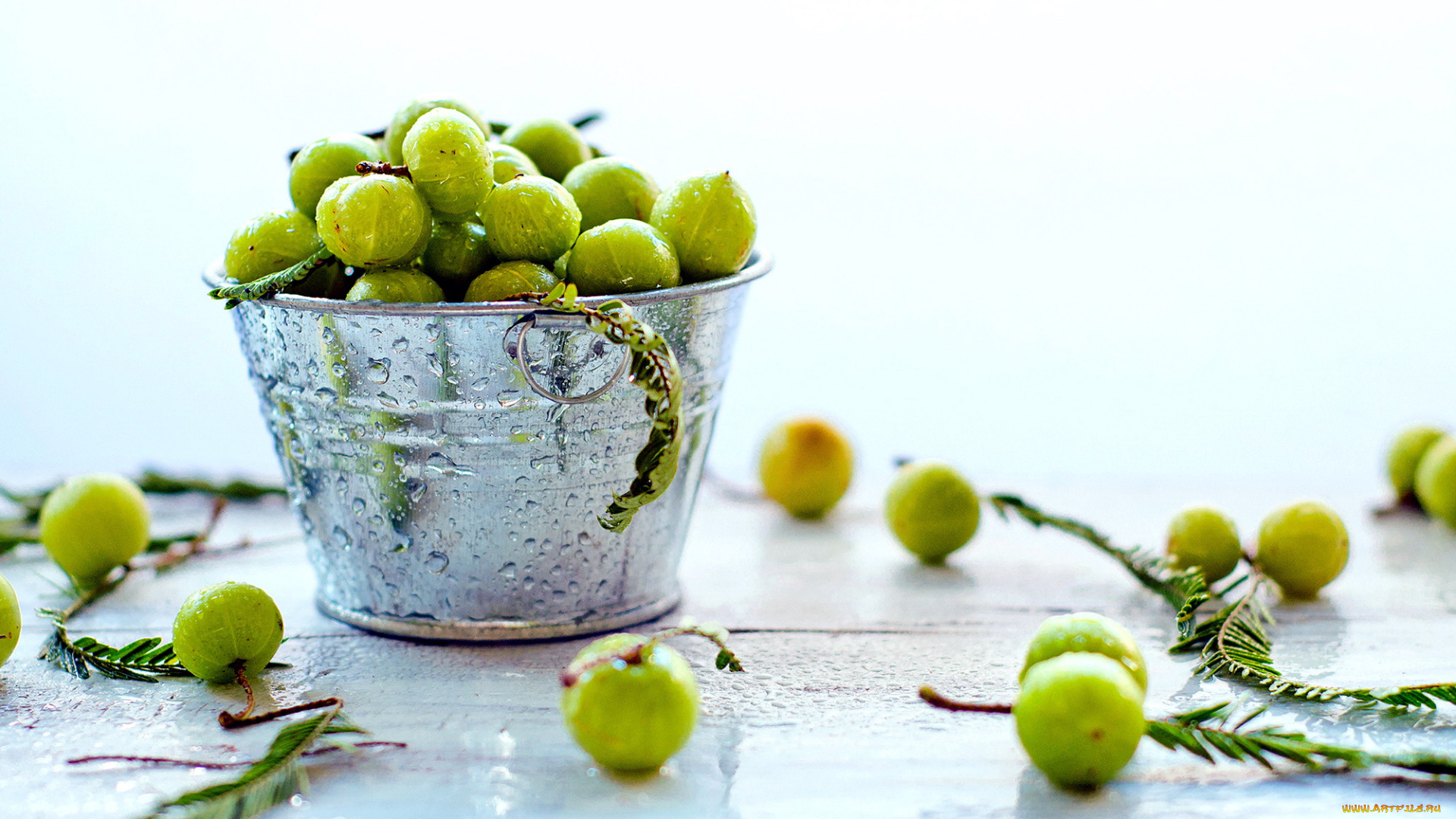 еда, крыжовник, ведерко, ягоды