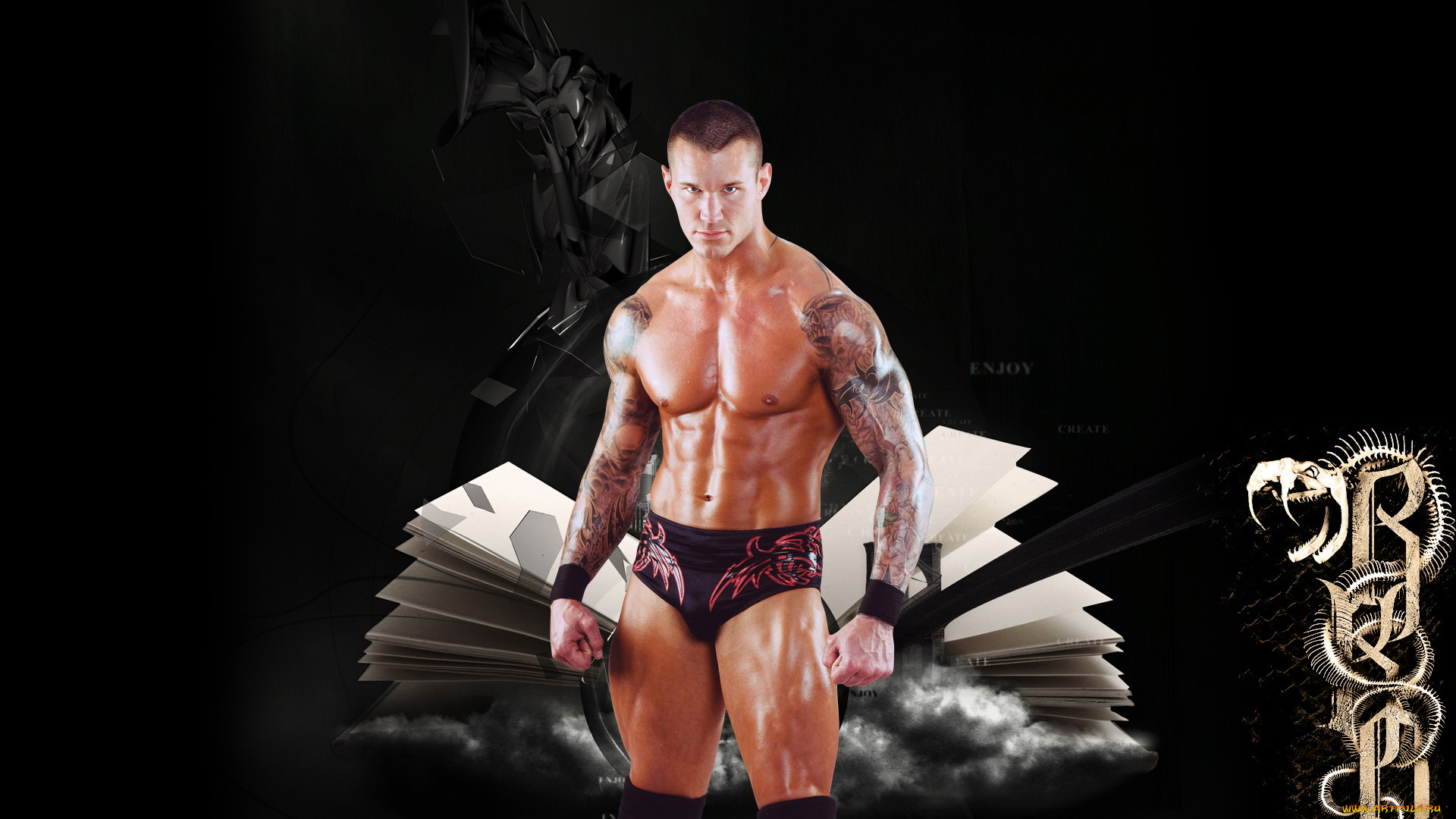 спорт, wwe, игрок