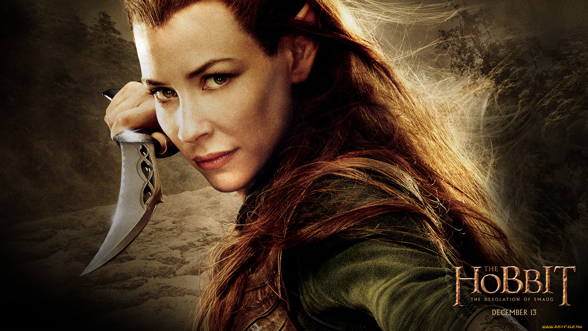 the, hobbit, the, desolation, of, smaug, кино, фильмы, the, hobbit, , the, desolation, of, smaug, хоббит, пустошь, смауга, фэнтези, экшн, приключения, драма, сша