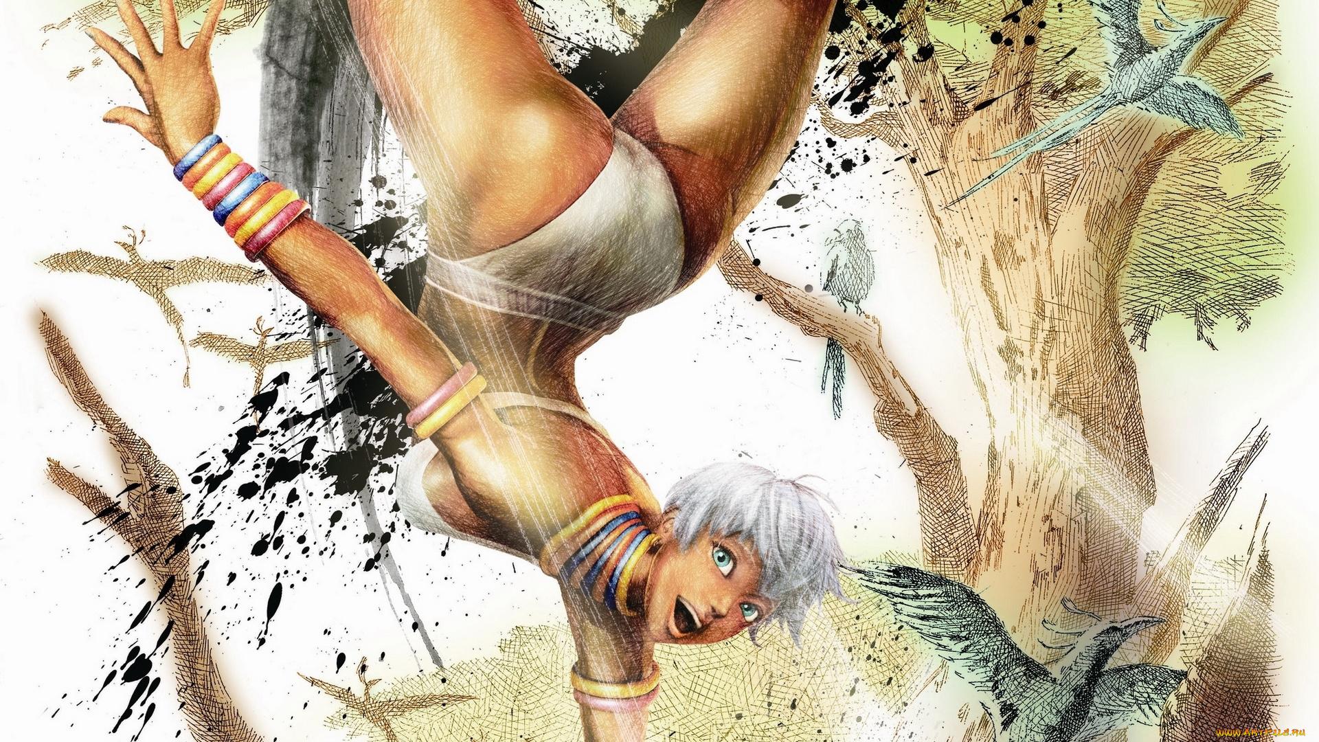 ultra, street, fighter, iv, видео, игры, птицы, девушка