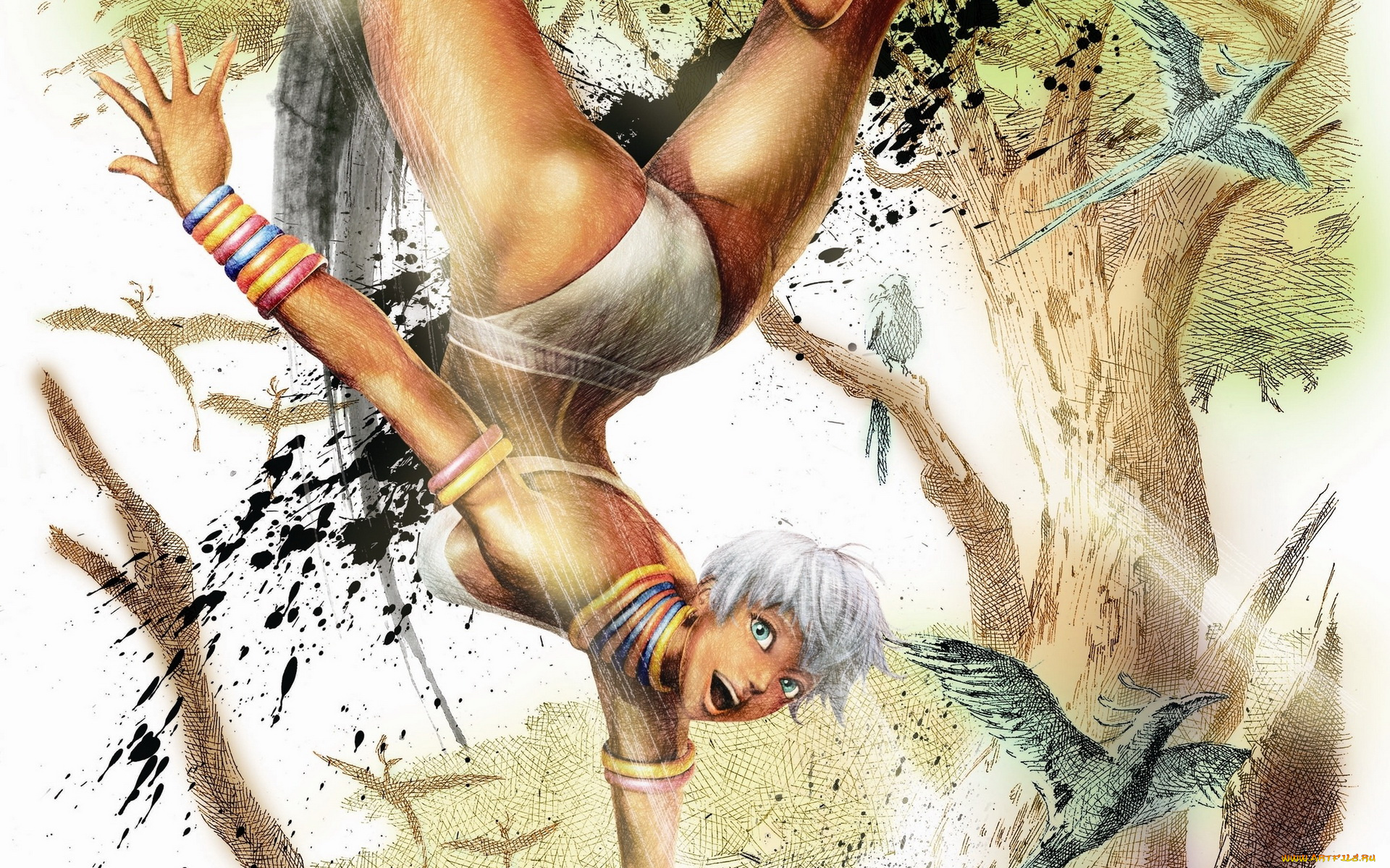 ultra, street, fighter, iv, видео, игры, птицы, девушка