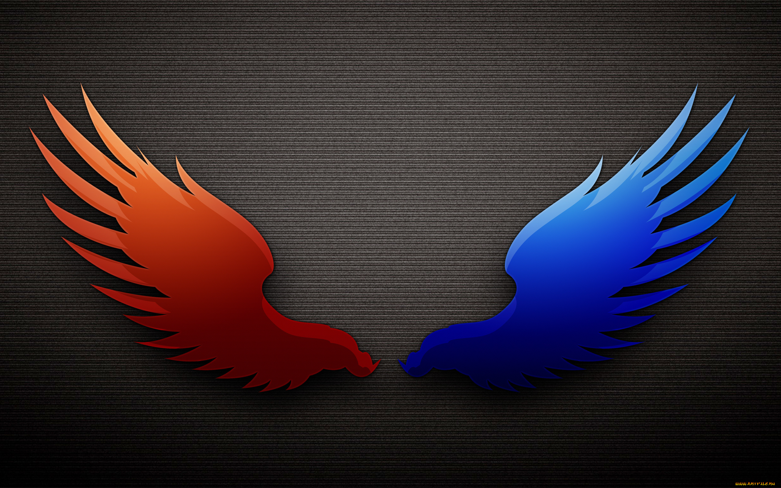 рисованные, минимализм, крилья