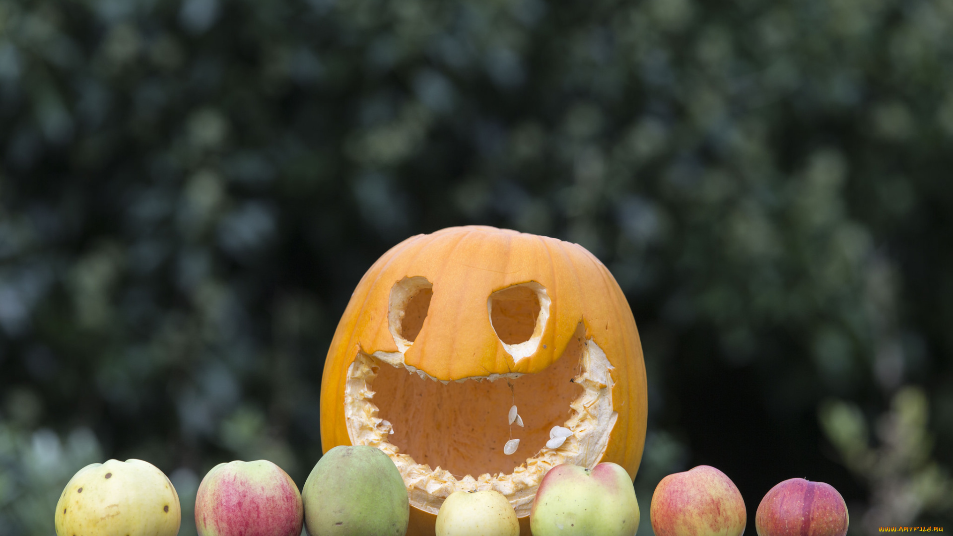 еда, фрукты, и, овощи, вместе, рожица, тыква, яблоки, рот, глаза