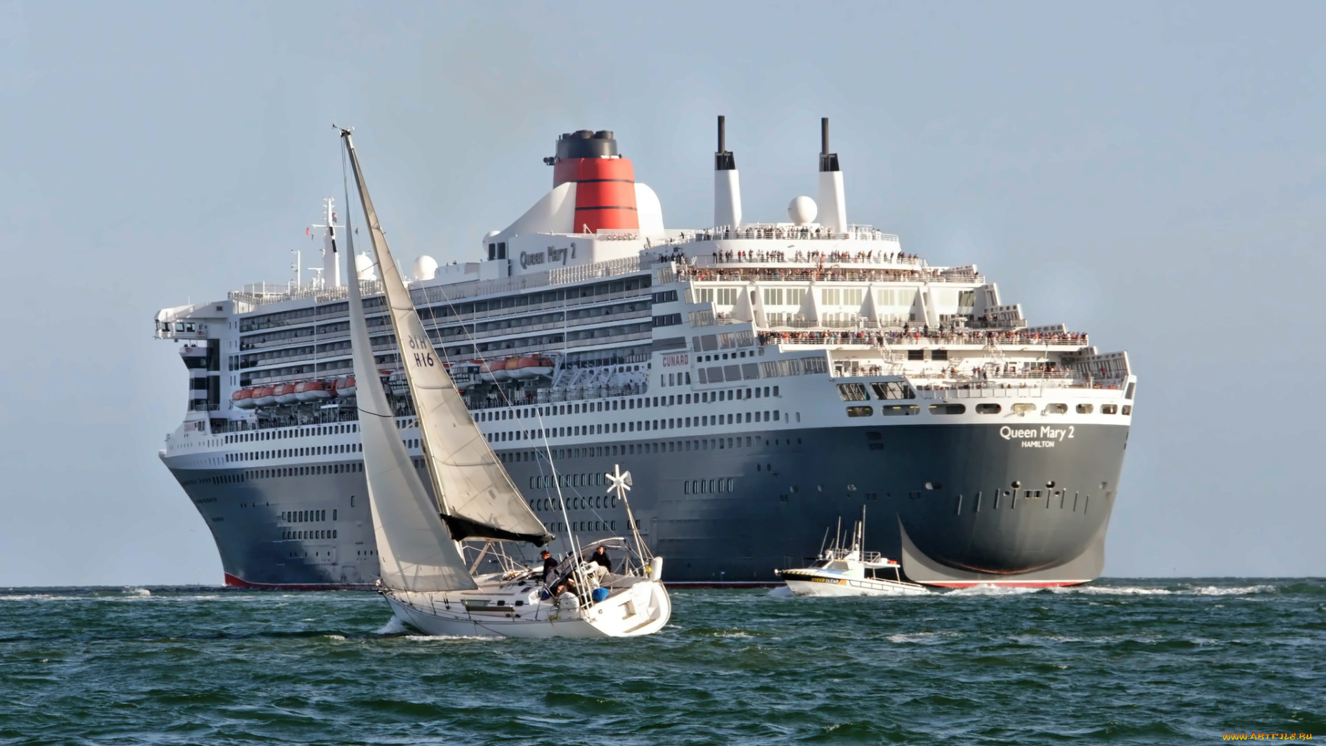 корабли, разные, вместе, катер, яхта, лайнер