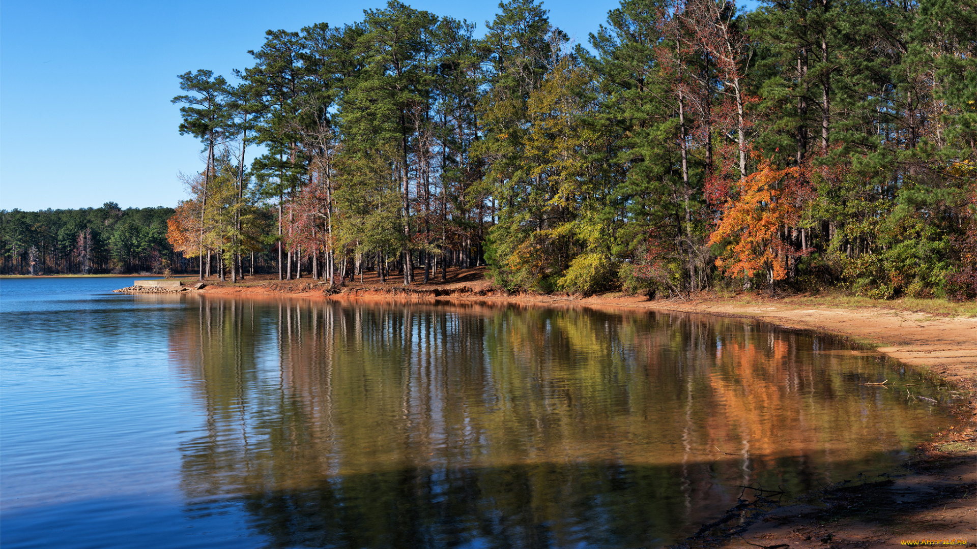 природа, реки, озера, река, лес