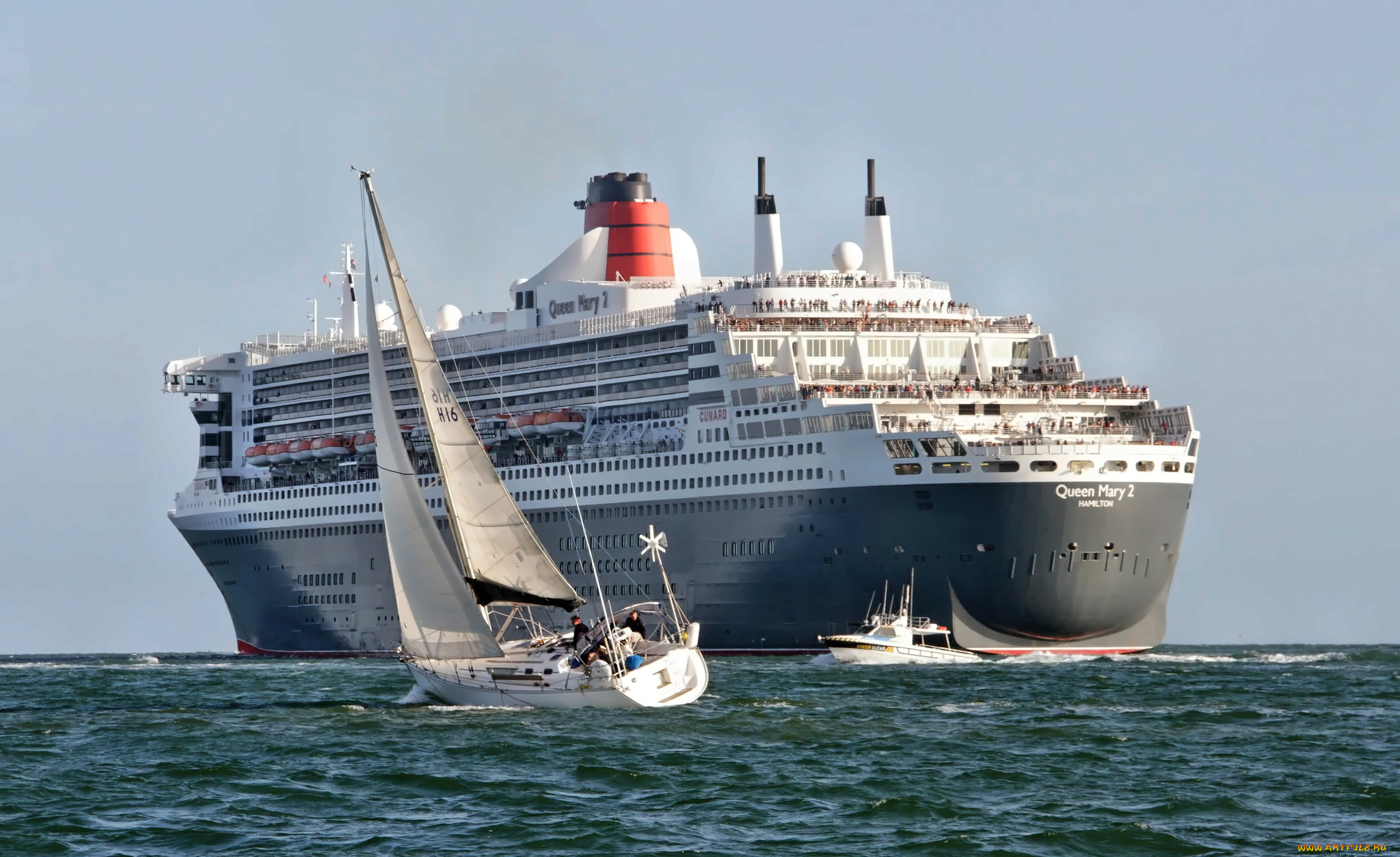 корабли, разные, вместе, катер, яхта, лайнер