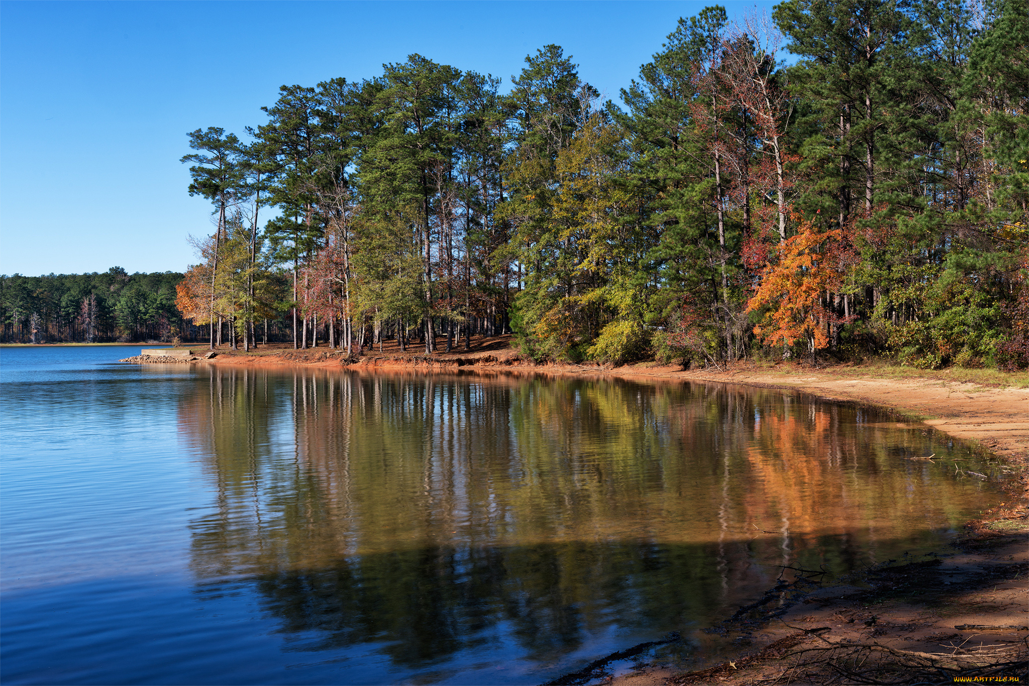 природа, реки, озера, река, лес