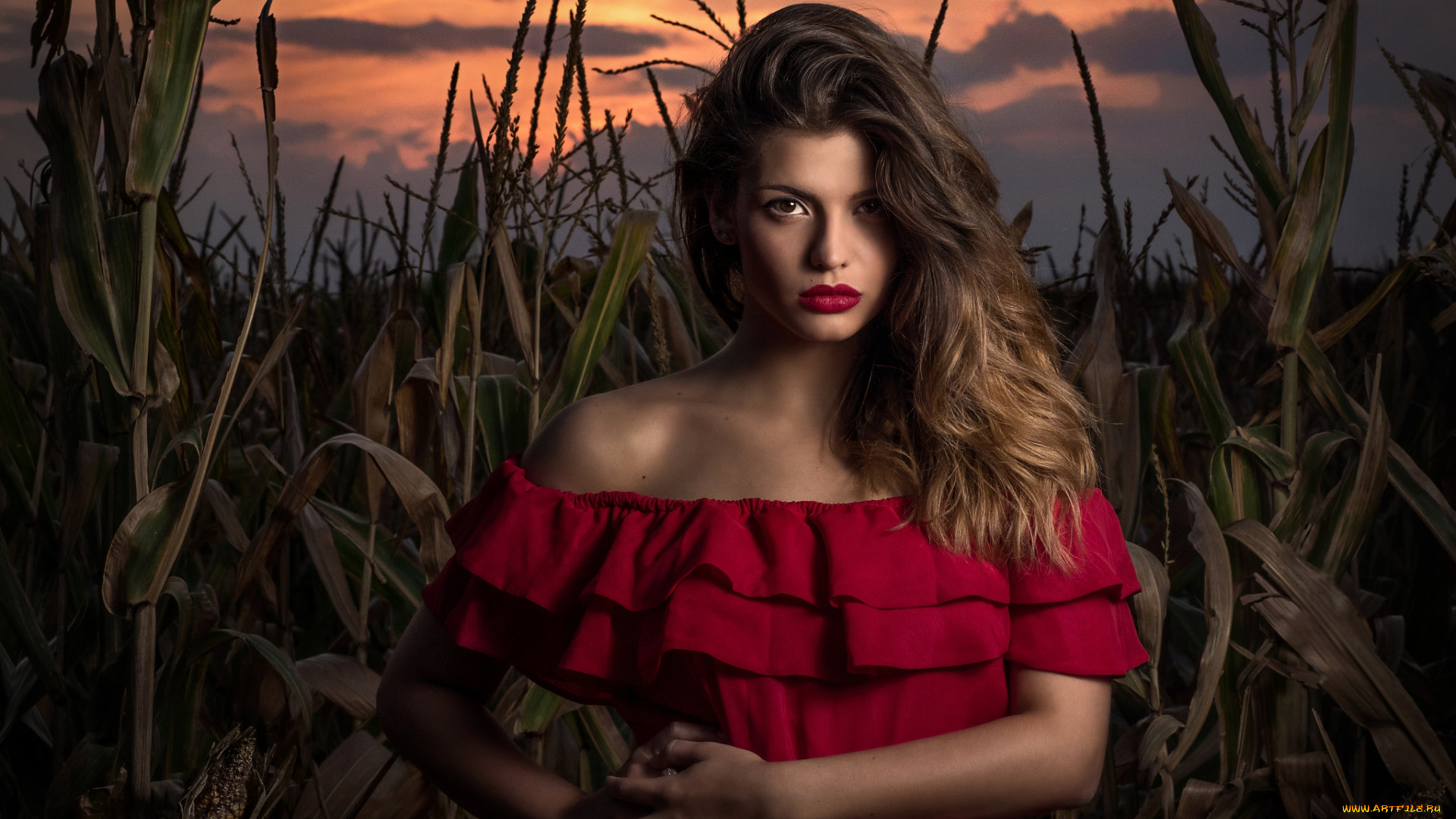 девушки, -unsort, , брюнетки, , шатенки, лицо, взгляд