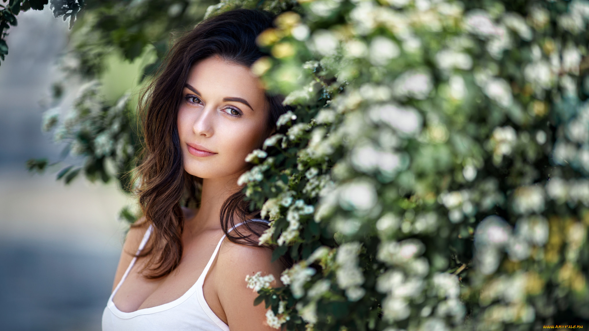 девушки, -unsort, , брюнетки, , шатенки, взгляд, лицо