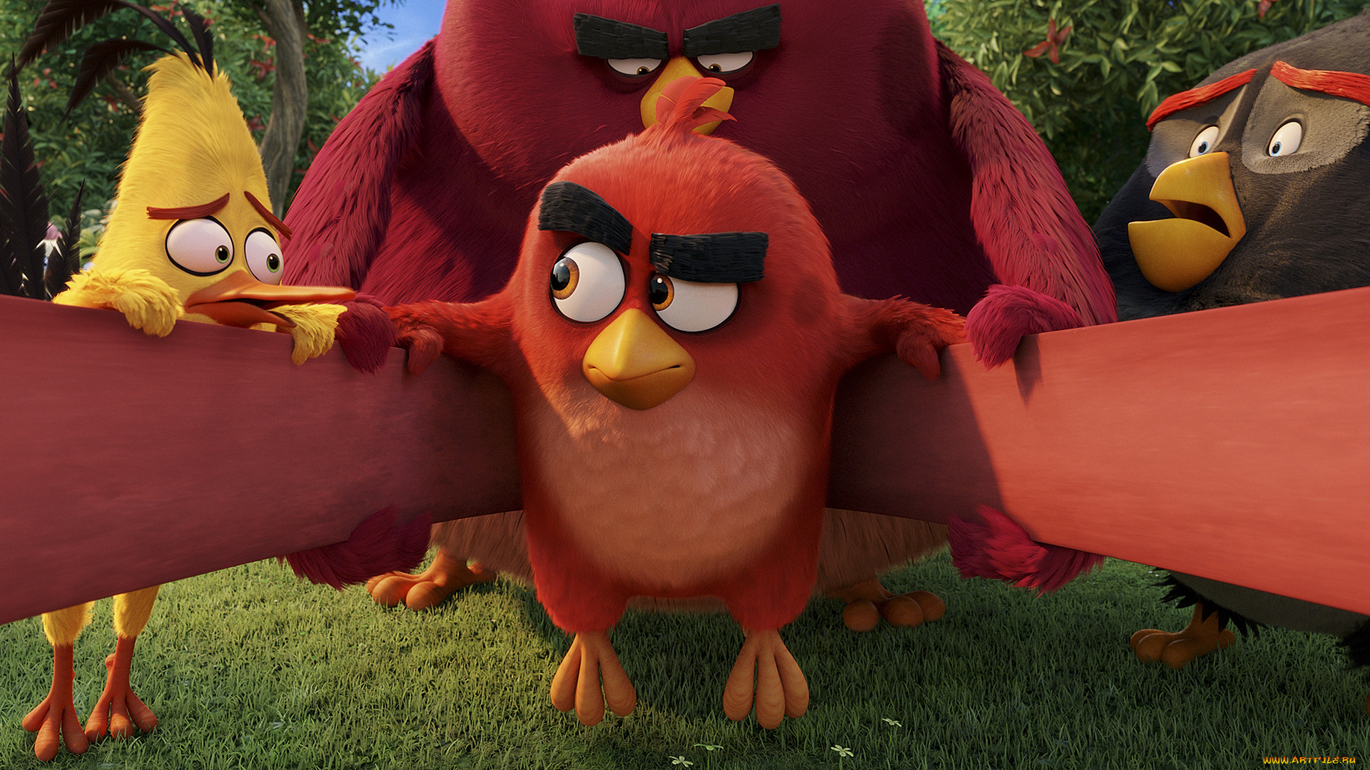 мультфильмы, the, angry, birds, movie, персонажи