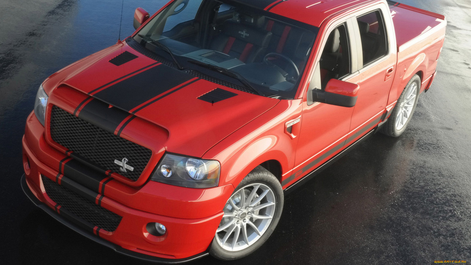 shelby, f-150, super, snake, concept, 2009, автомобили, ford, shelby, f-150, super, snake, concept, 2009