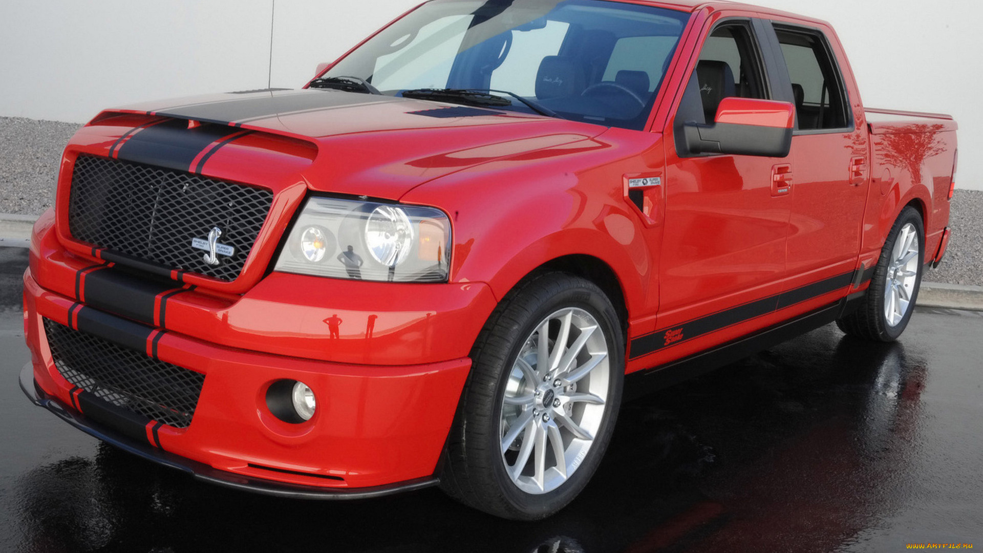 shelby, f-150, super, snake, concept, 2009, автомобили, ford, shelby, f-150, super, snake, concept, 2009
